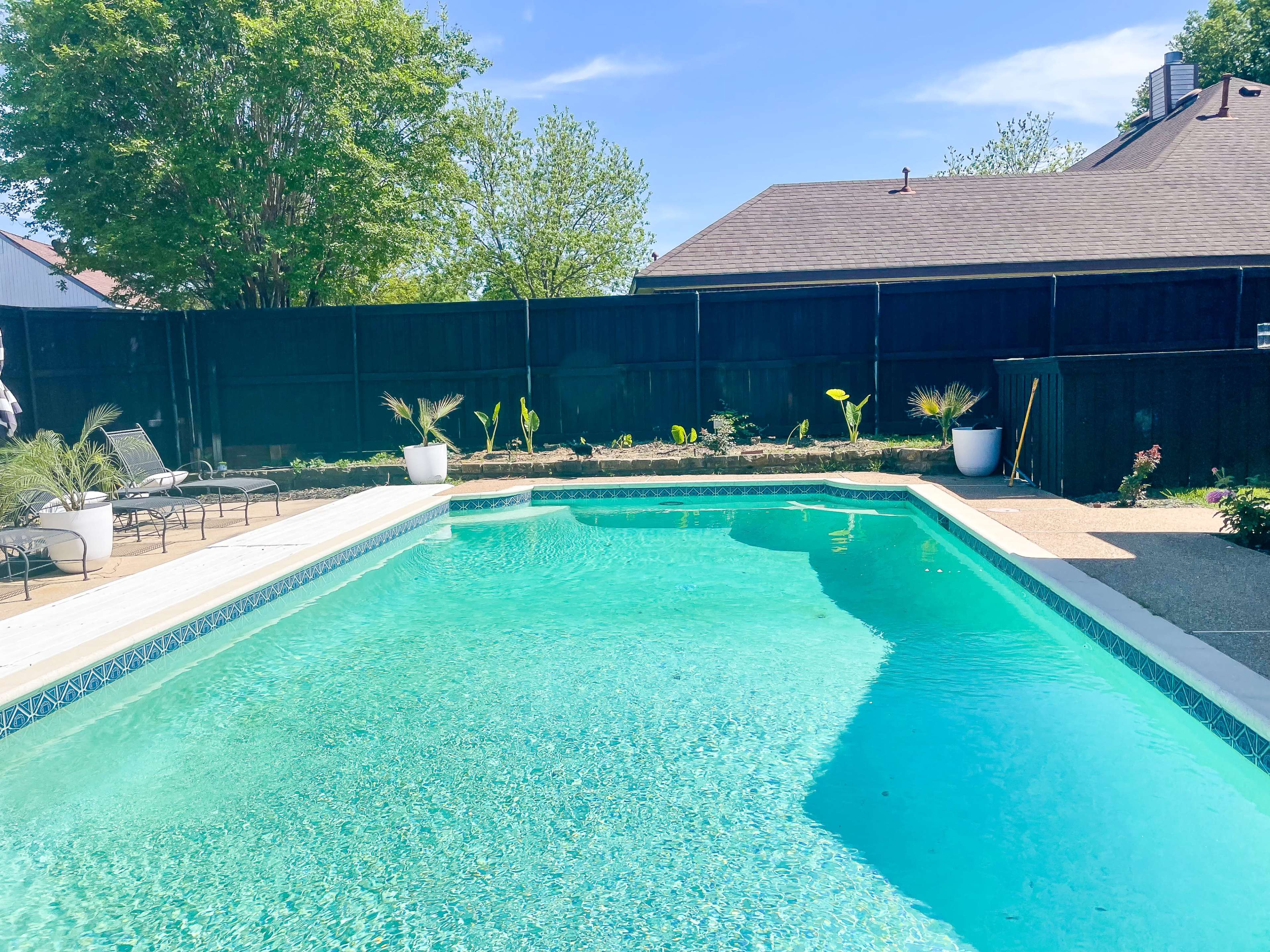 A clear blue swimming pool surrounded by lounge chairs and tall greenery against a black fence.