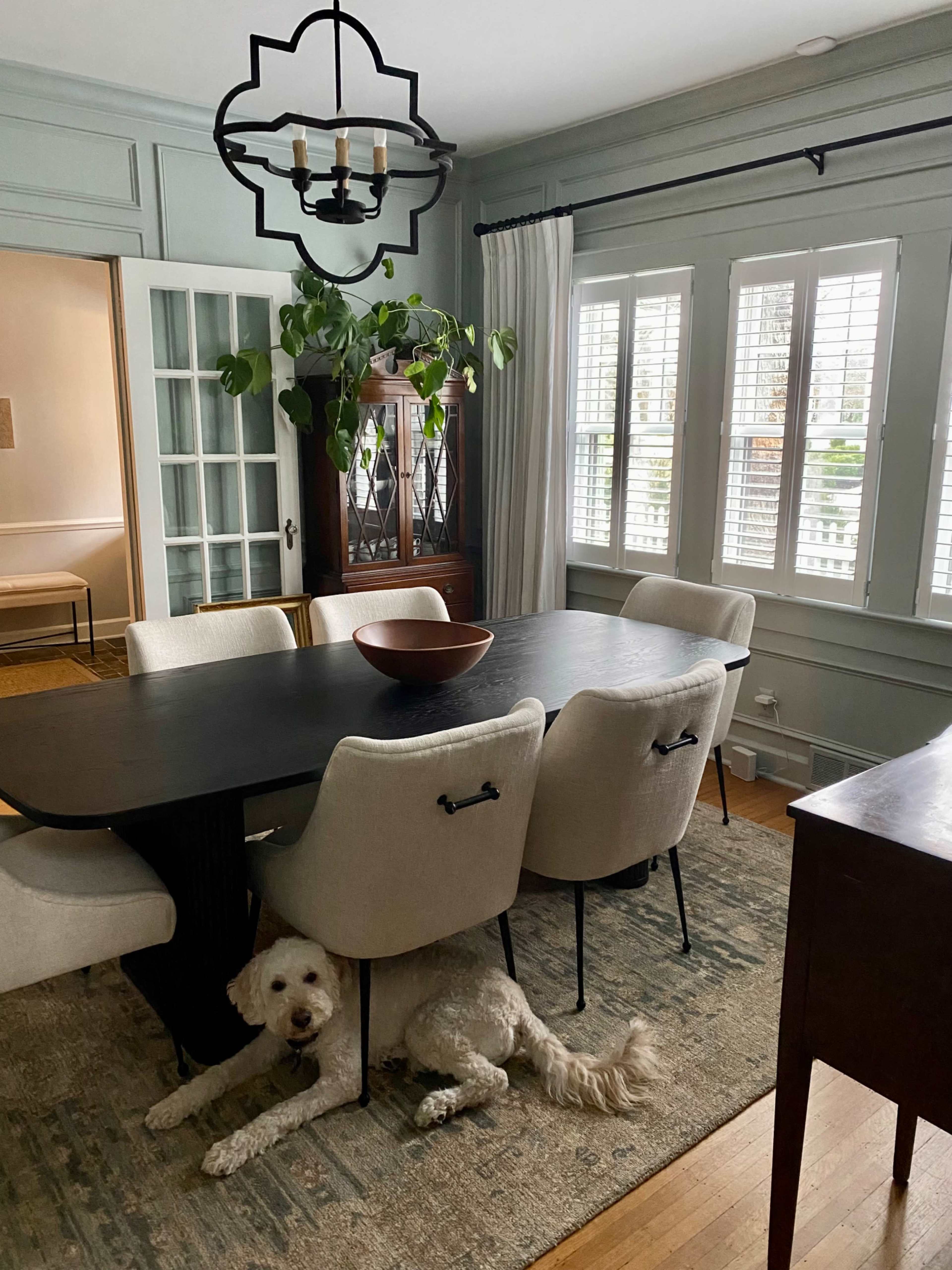 A light-colored dining room features a large rectangular table surrounded by upholstered chairs, with a decorative chandelier overhead and a dog lying on the floor.