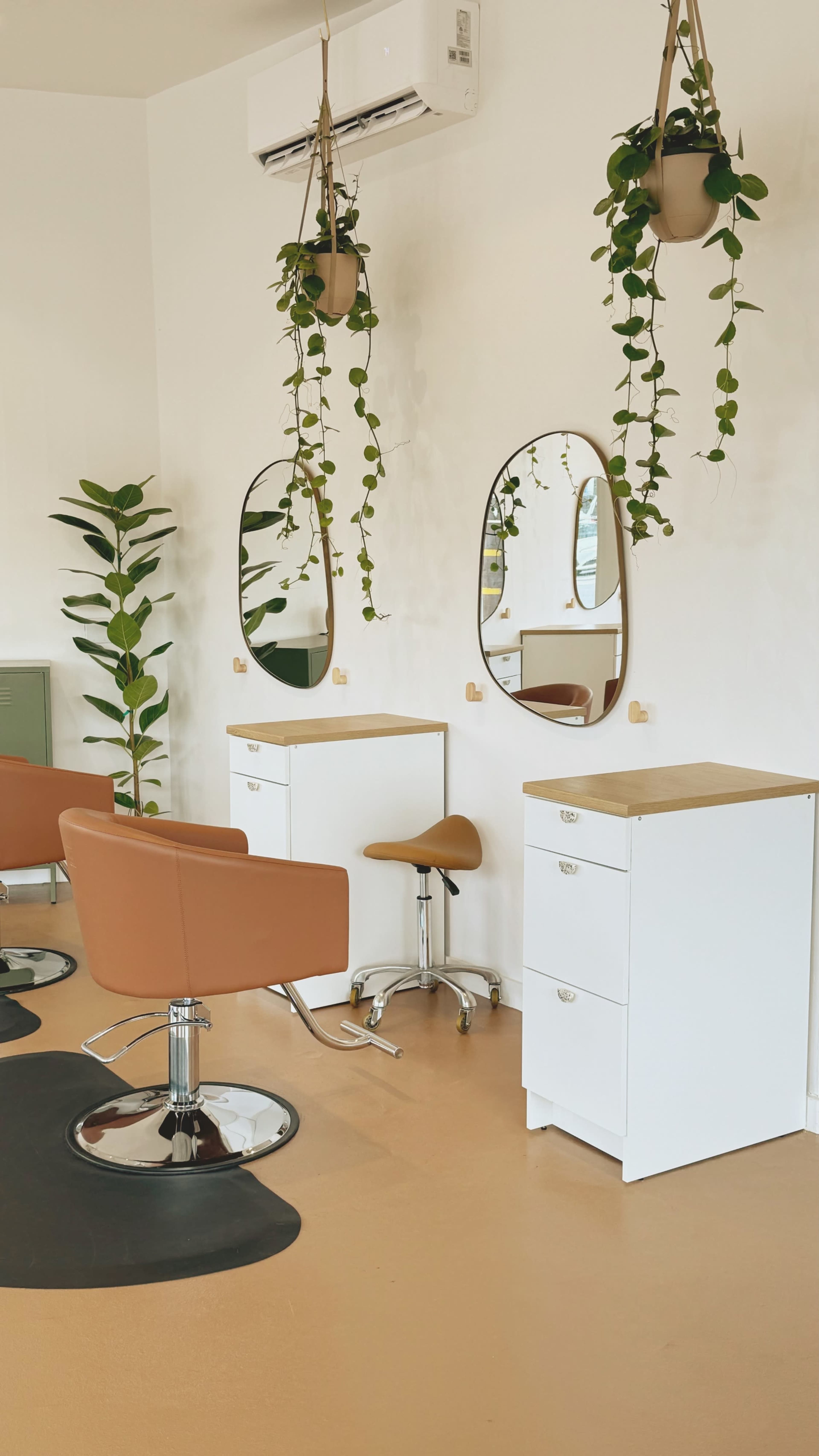 The image shows a modern hair salon interior with two mirrors, chairs, and plant decor set against a white wall.