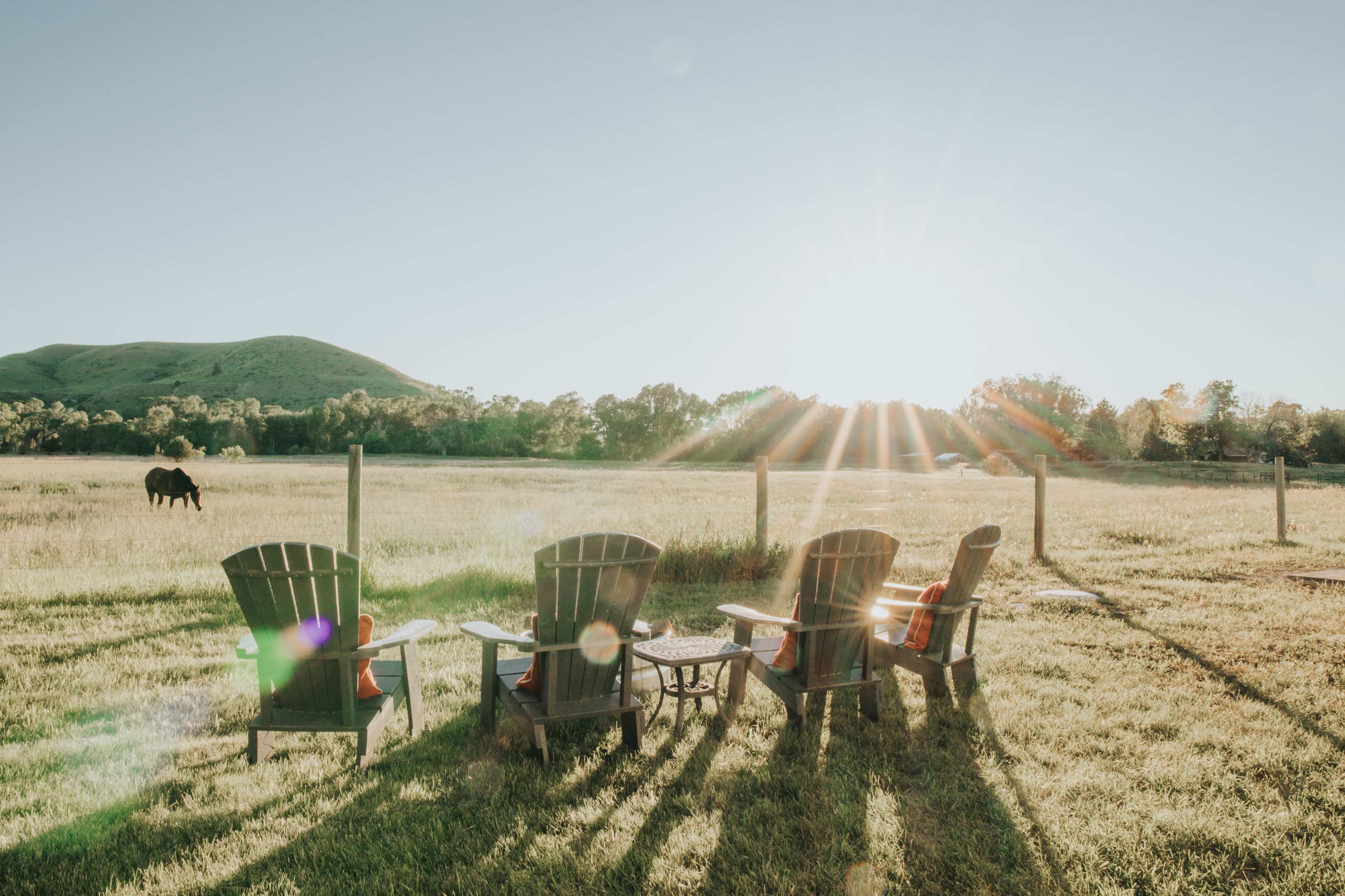 Four Adirondack chairs are positioned in a field facing the sunrise, with a horse grazing in the background and a mountain visible.