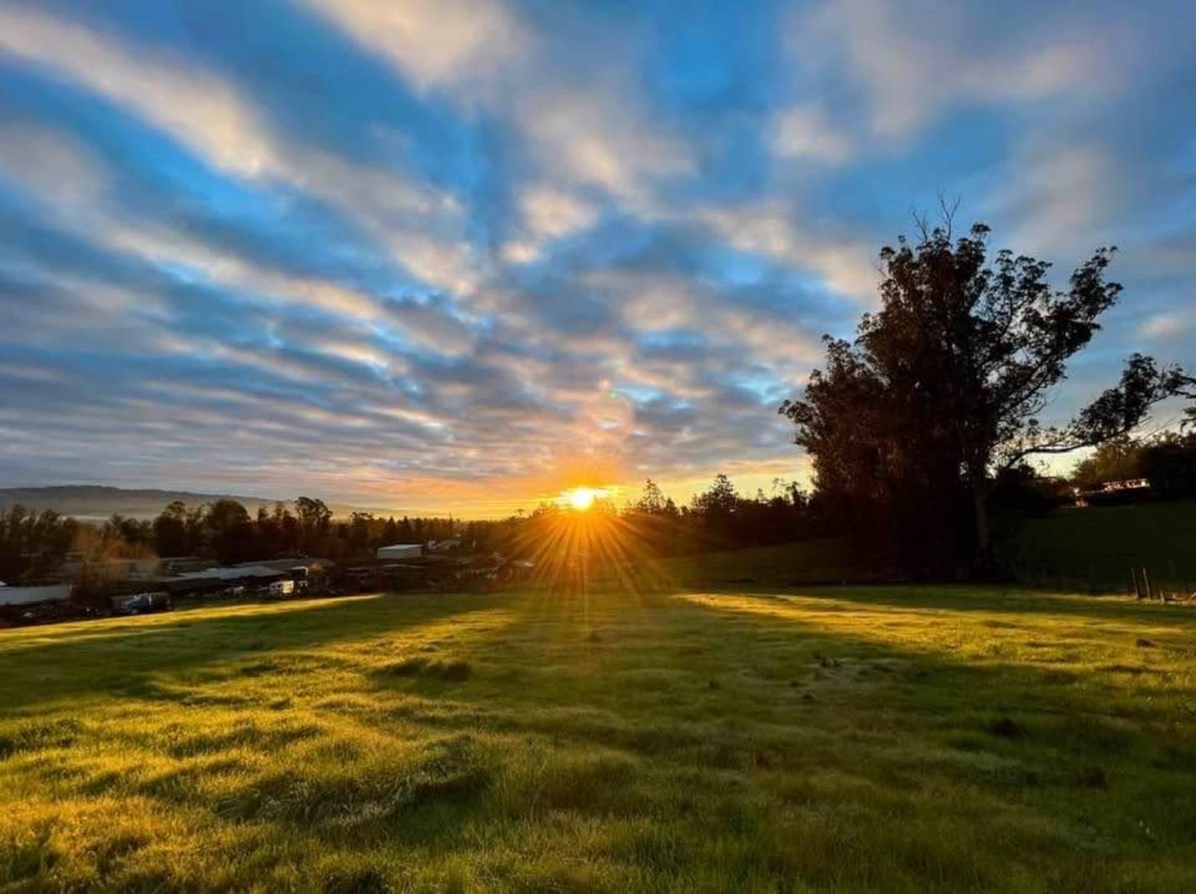 The sun sets behind a line of trees, casting rays of light over a grassy field.