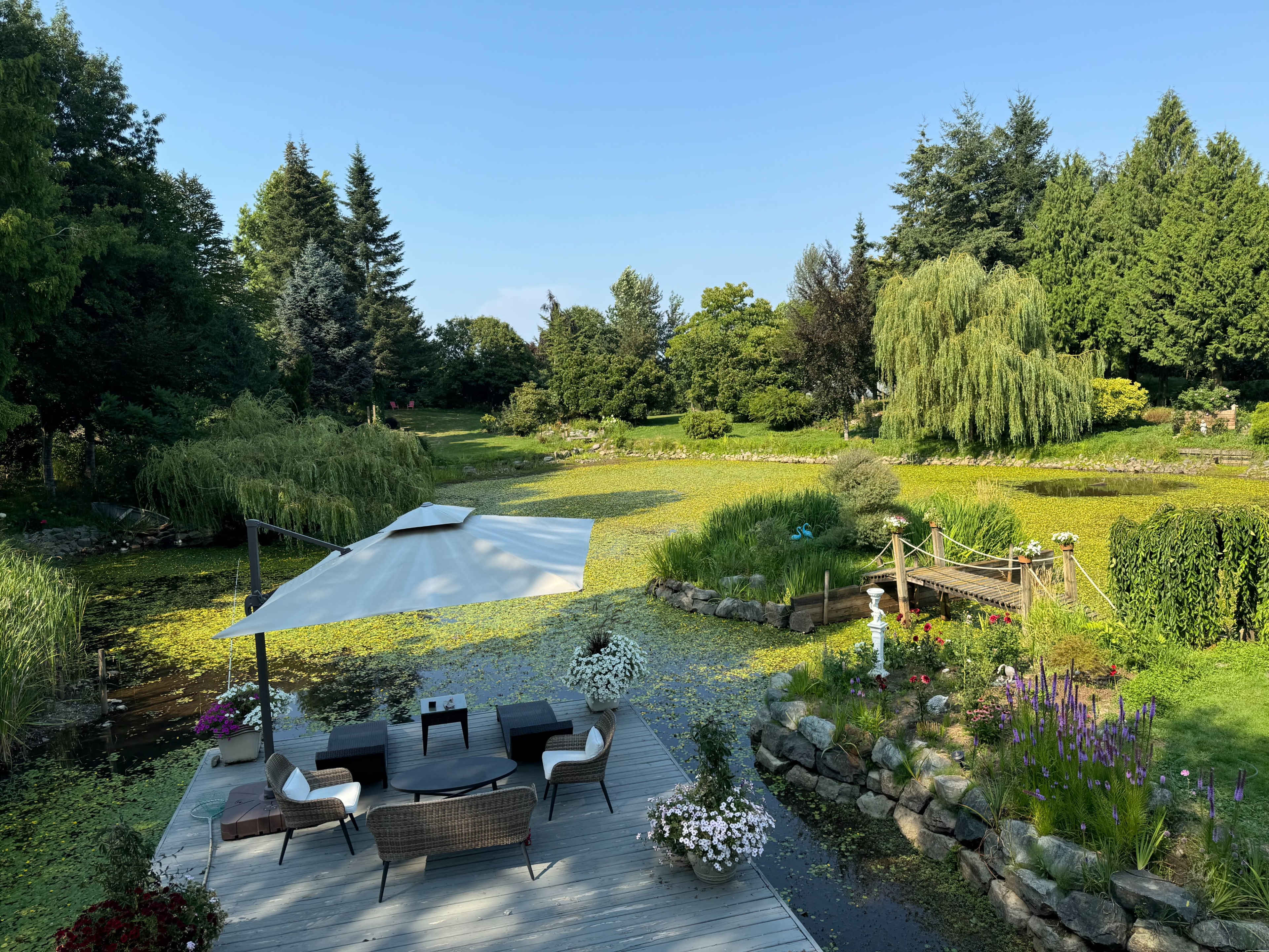 Serene Private Garden & Pond Oasis with Rustic Charm Image in Langley, Aldergrove, BC