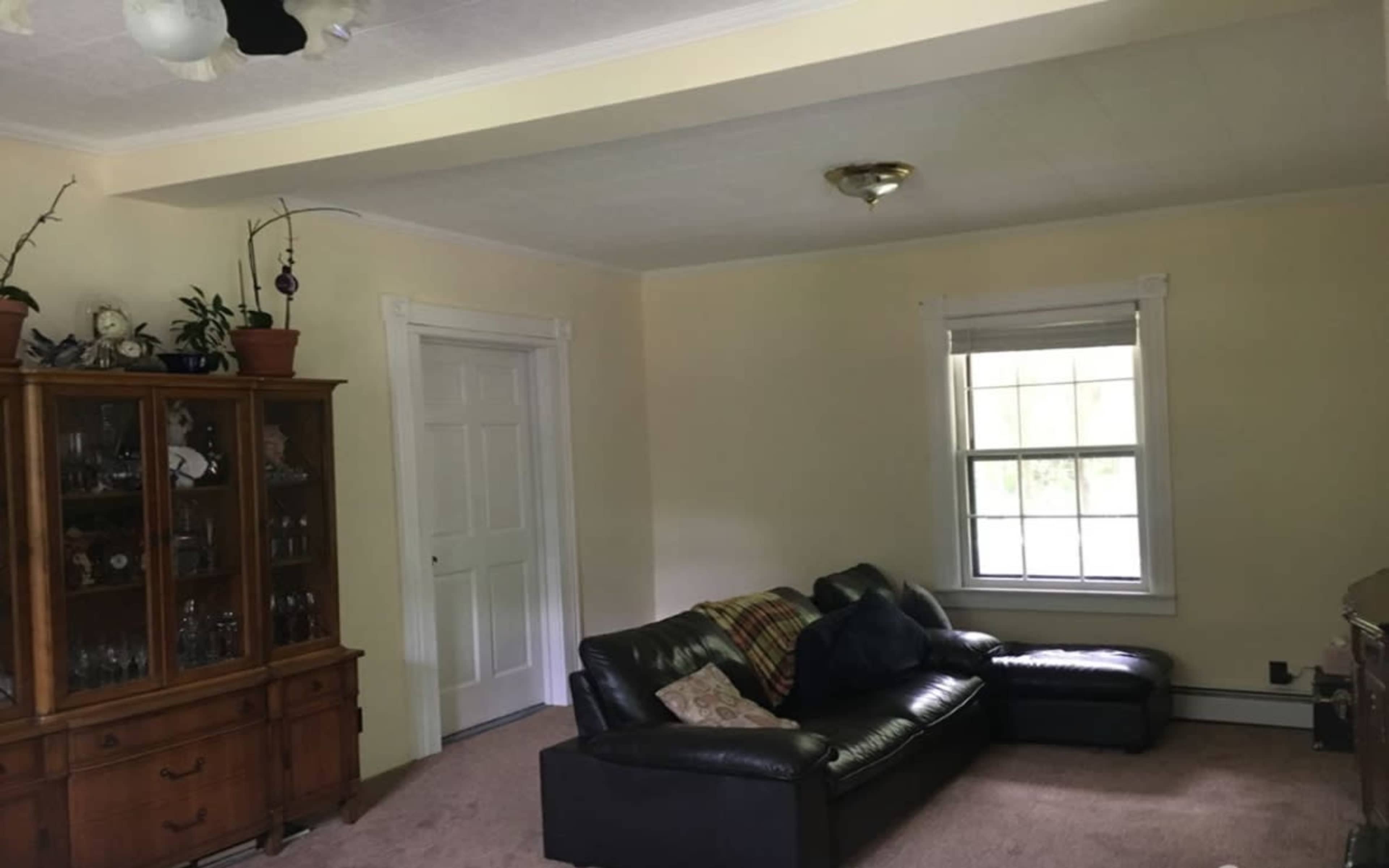 The White House in the Mountains. Image in Mamakating, Wurtsboro, NY