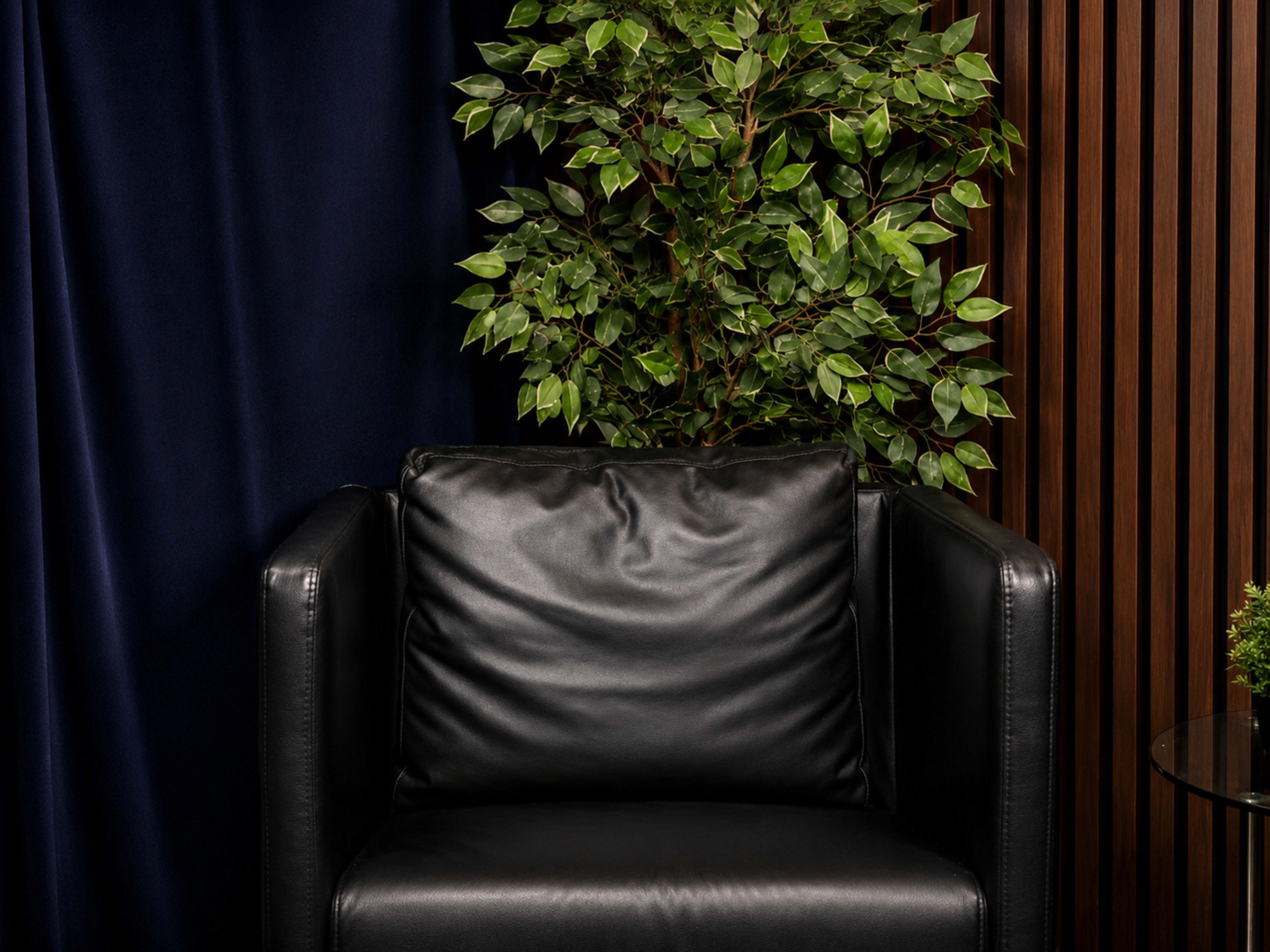 A black leather armchair is positioned next to a potted green plant against a dark blue curtain and wooden slat backdrop.