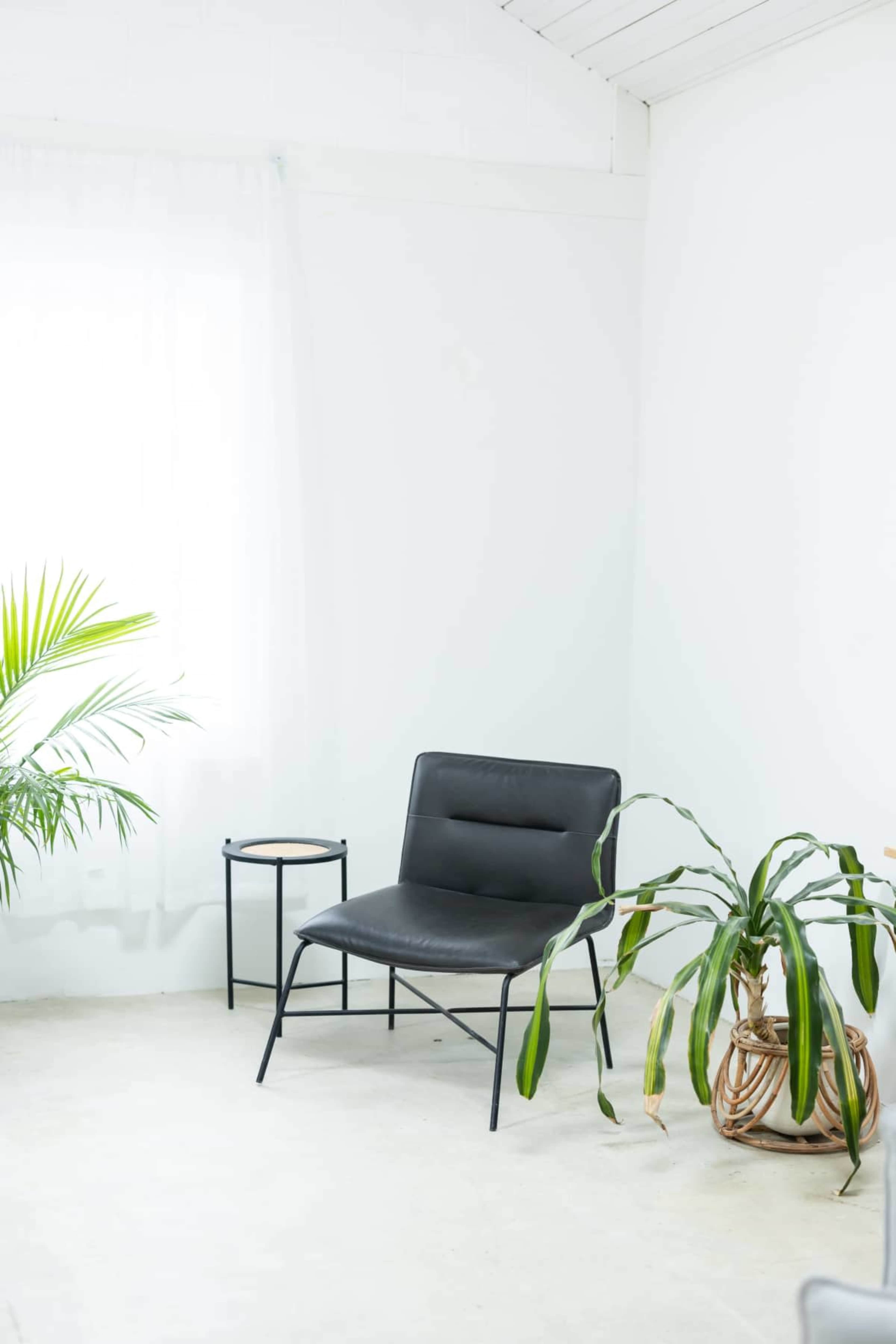 Large Open-Concept Photo & Video Production Studio + Event Space Image in Verona, Verona, NJ