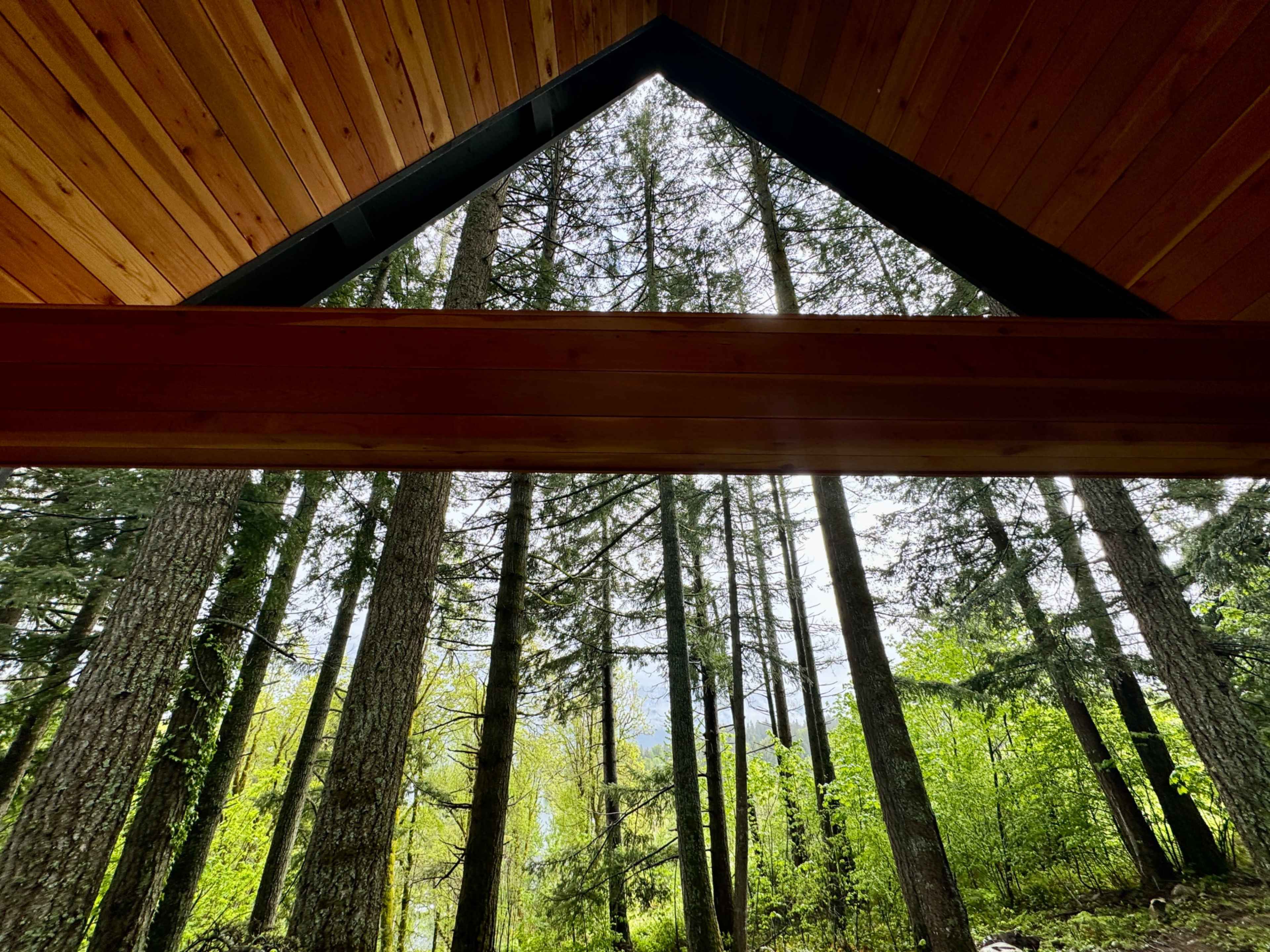 The image shows a view from inside a building with a wooden ceiling, framed by large trees and greenery outside.