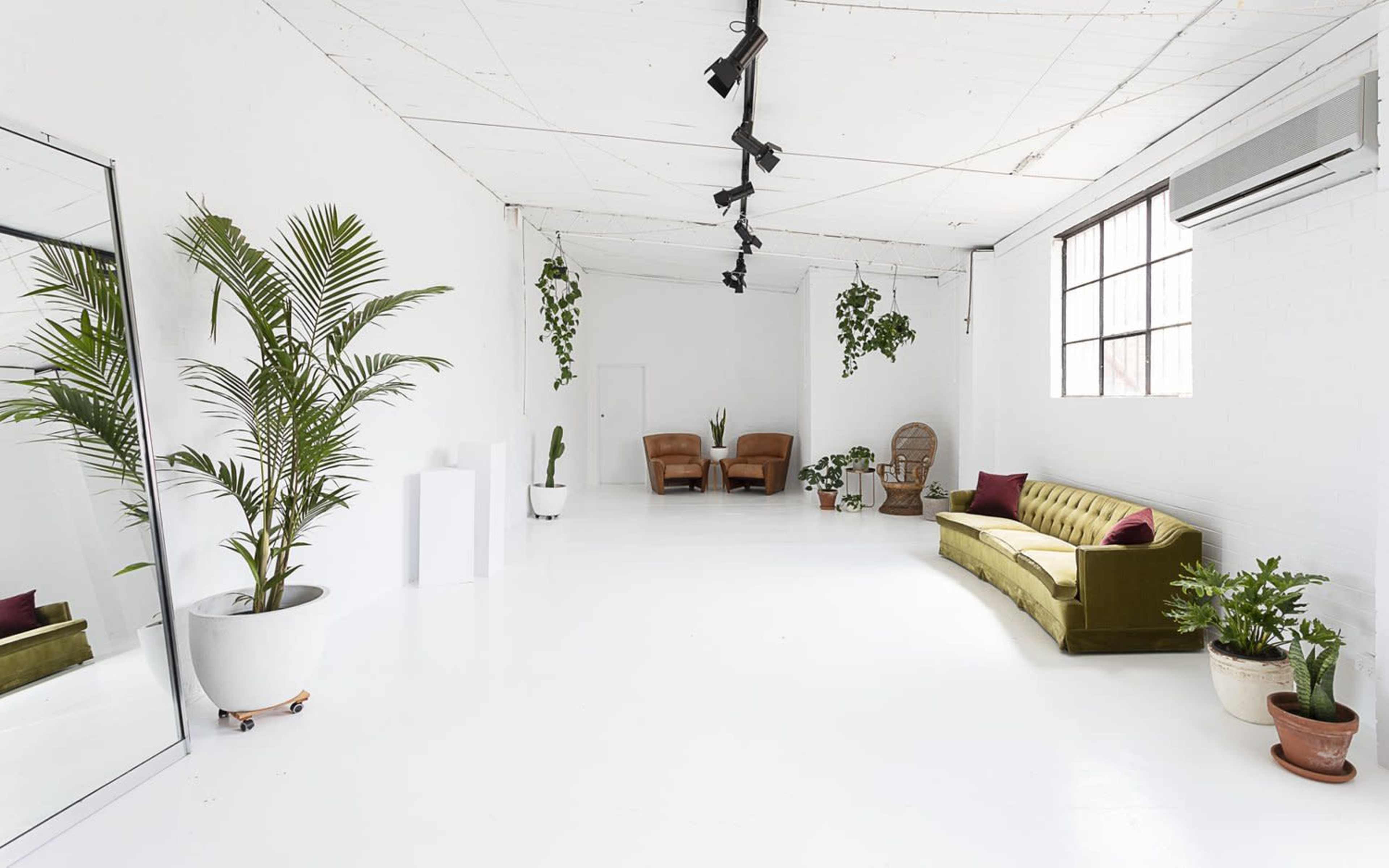A bright, minimalist studio space featuring a green velvet sofa, two brown chairs, and various plants in pots, with a large mirror and a window.