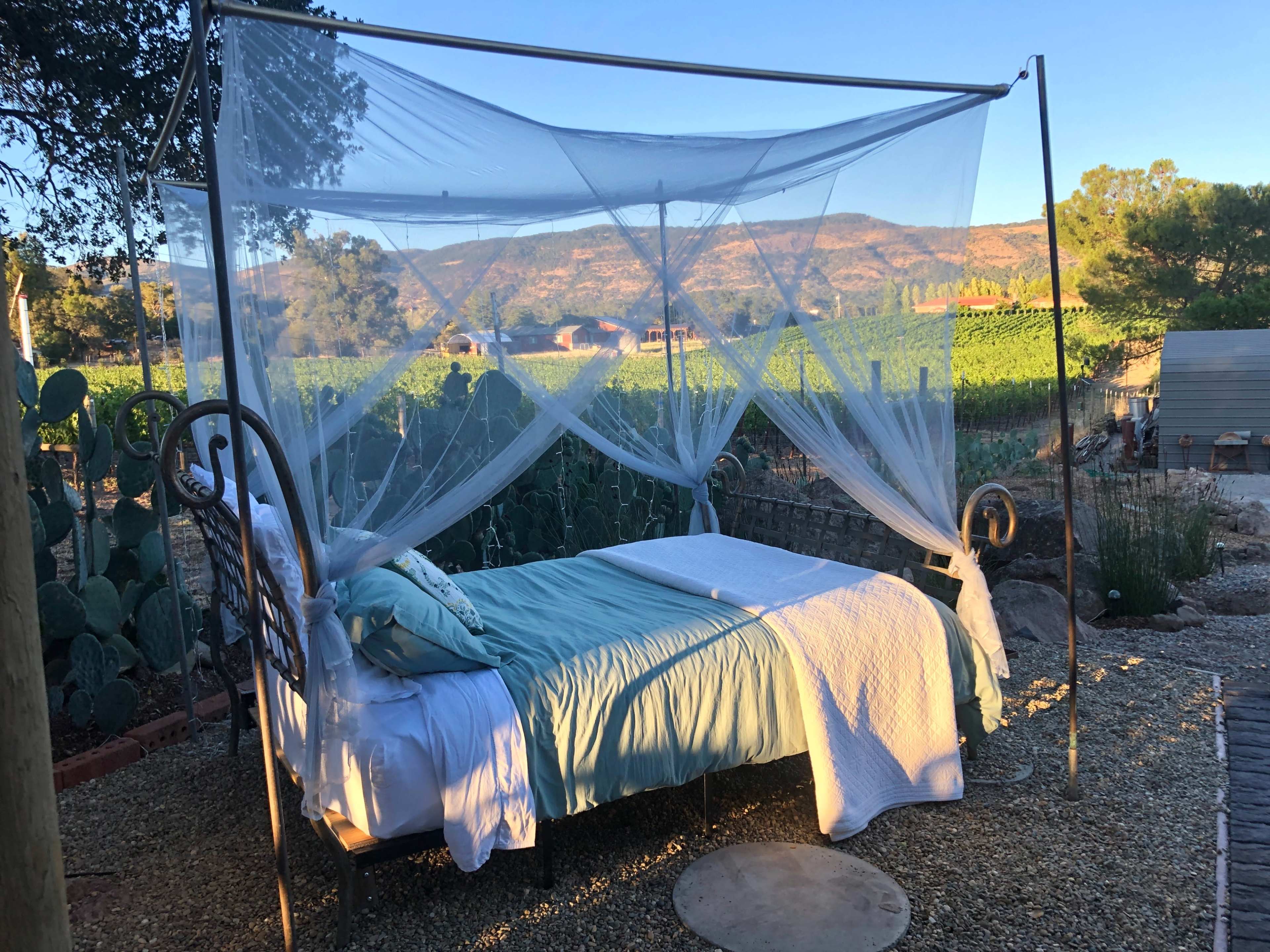 A metal bed frame with a canopy and light blue bedding is set outdoors in a vineyard, surrounded by cacti and mountains in the background.
