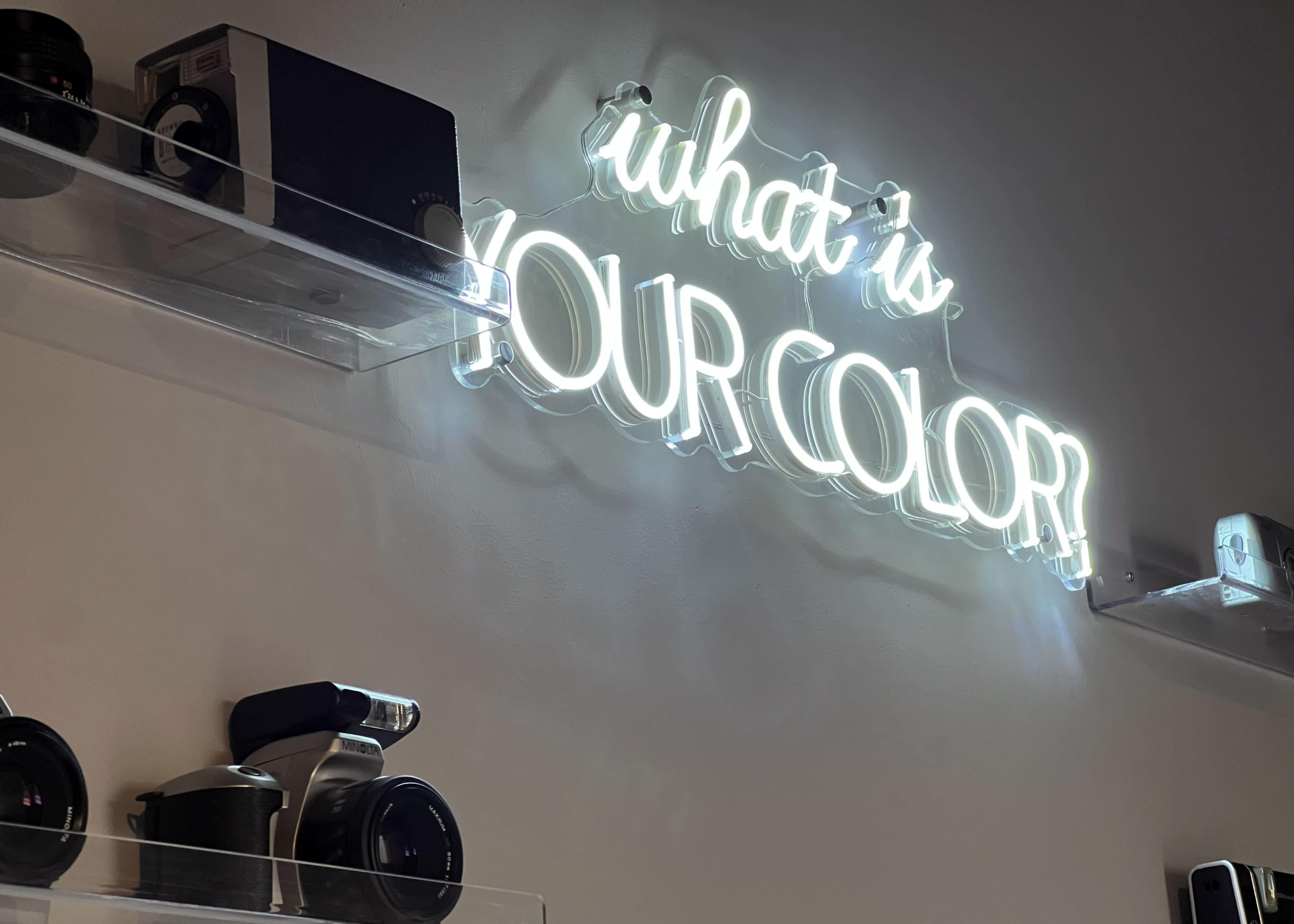 A neon sign on the wall reads, "what is YOUR COLOR?" with various cameras displayed on shelves below it.