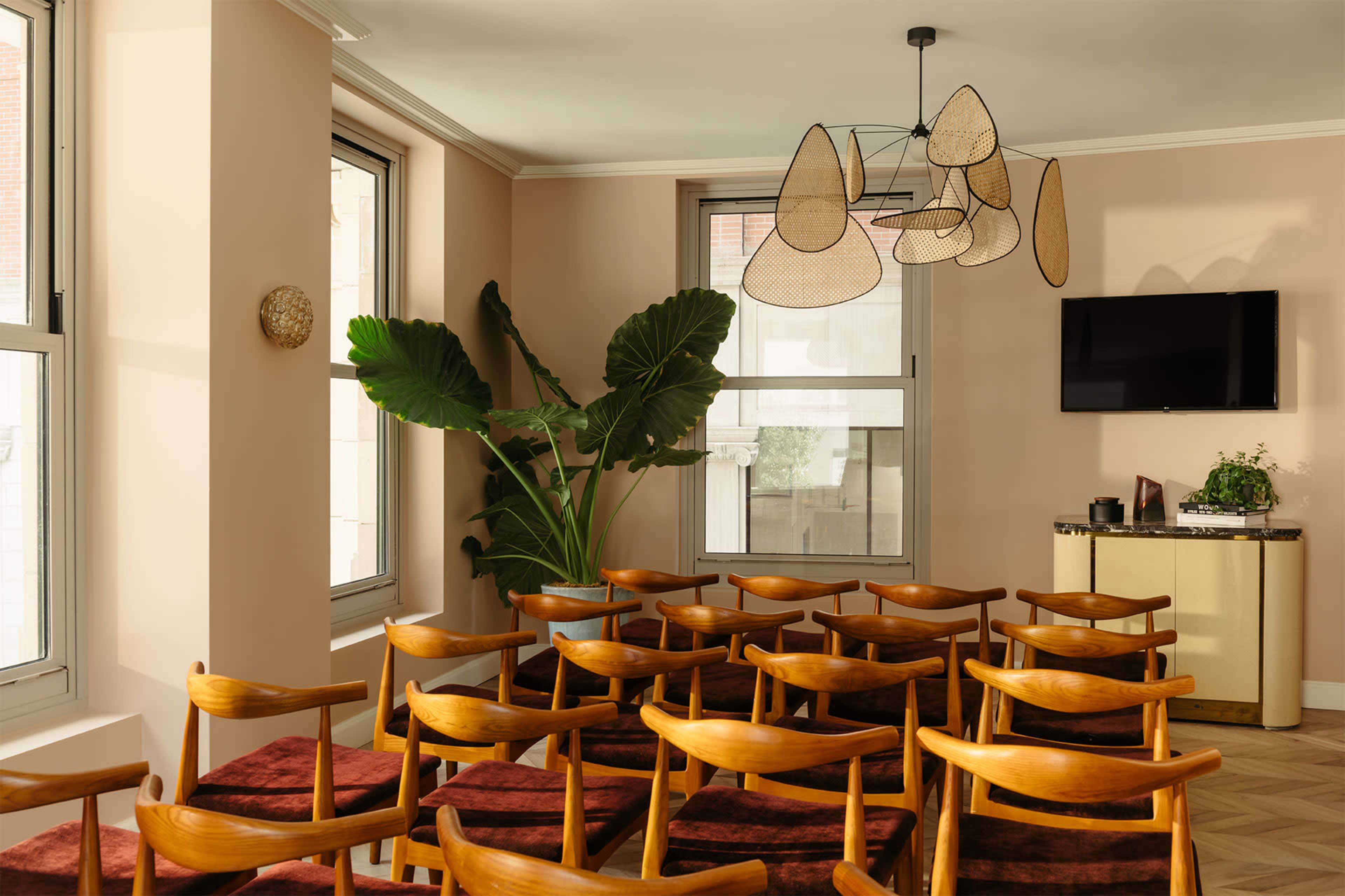 A modern conference room features rows of wooden chairs, a large indoor plant, and a contemporary light fixture, with a wall-mounted television and a side cabinet.