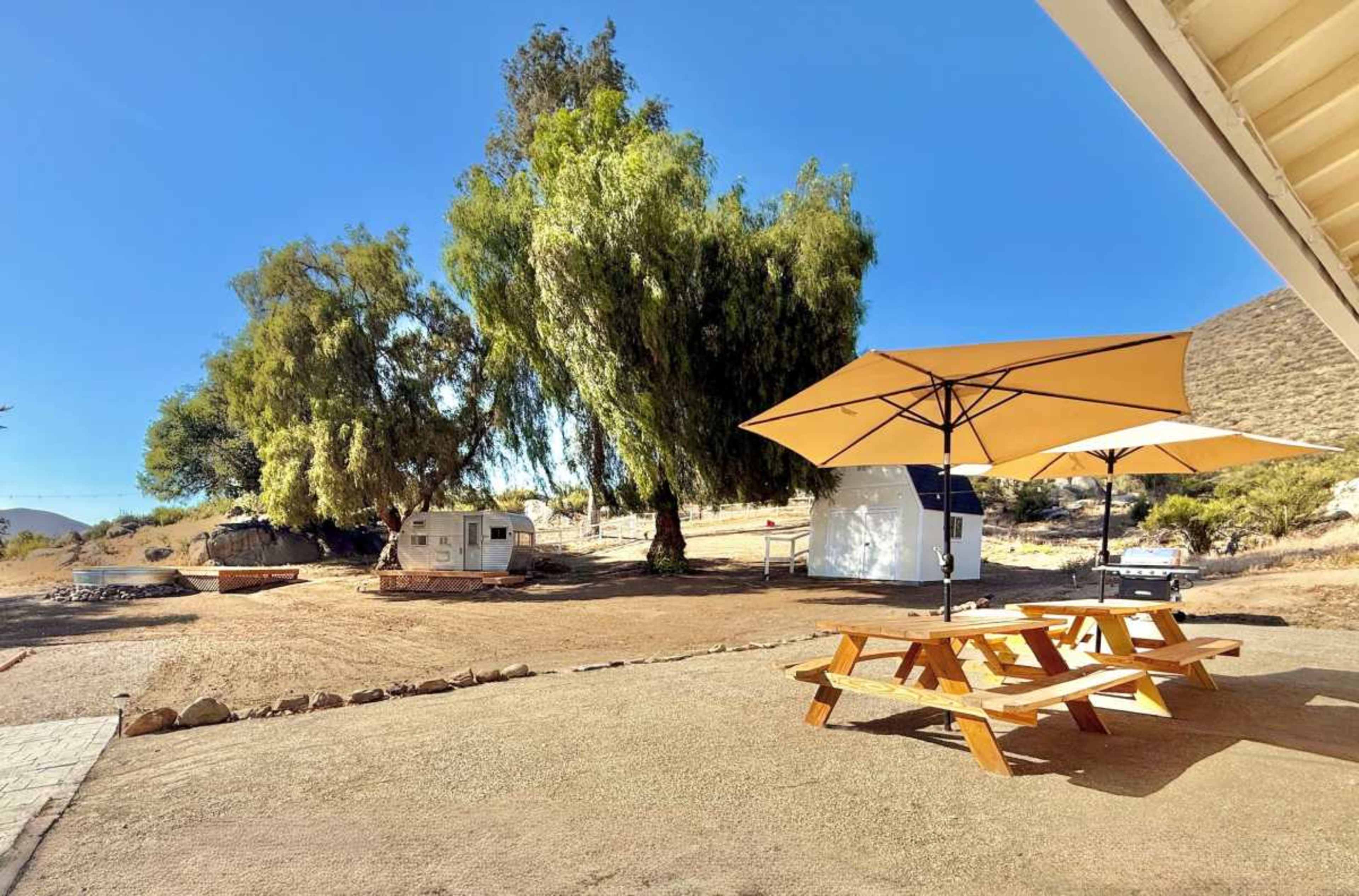 A picnic area with a wooden table and umbrellas is situated near two large trees and a vintage trailer in a dry, open landscape.