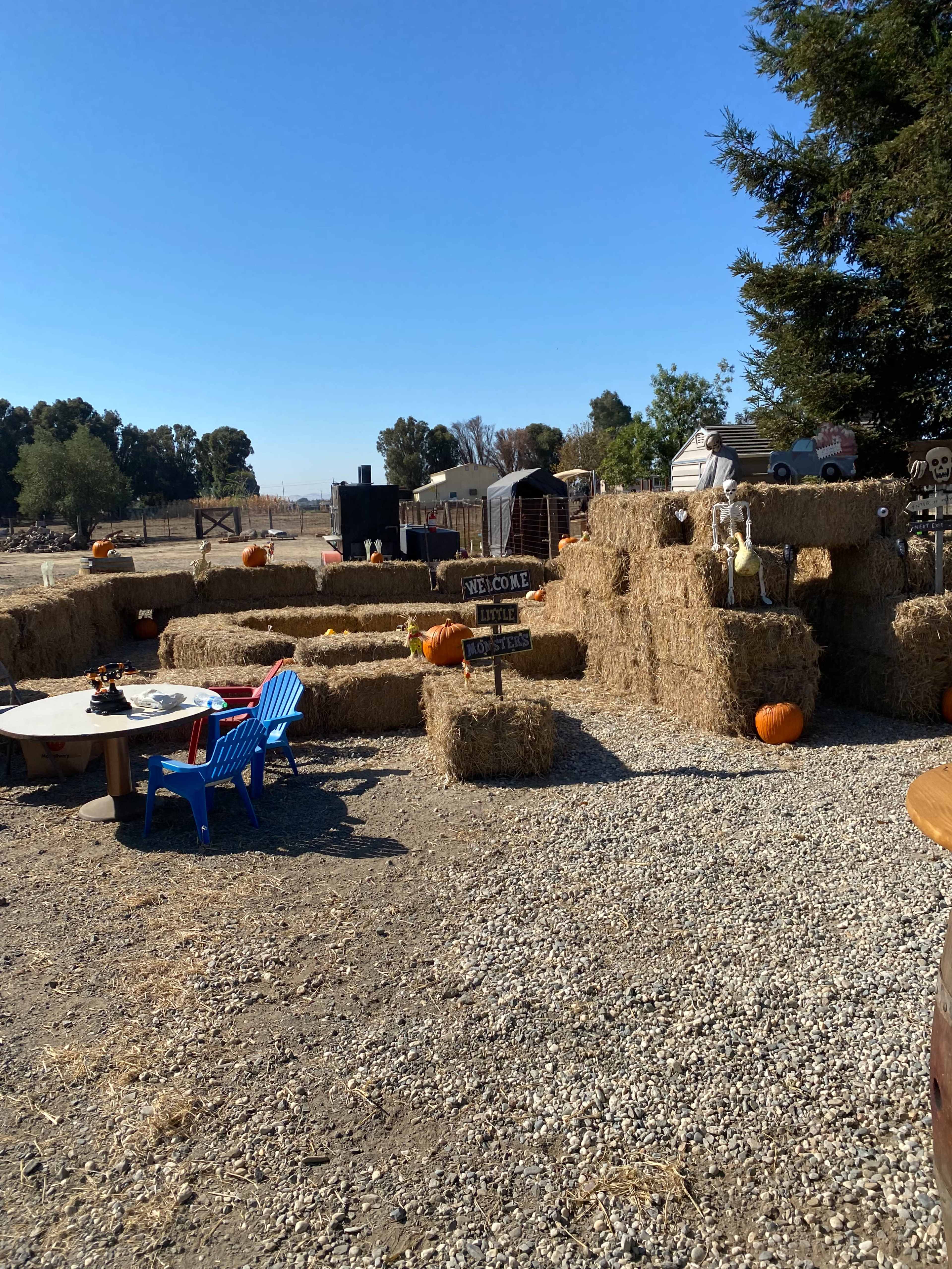 Horse Ranch Image in Knightsen, Knightsen, CA