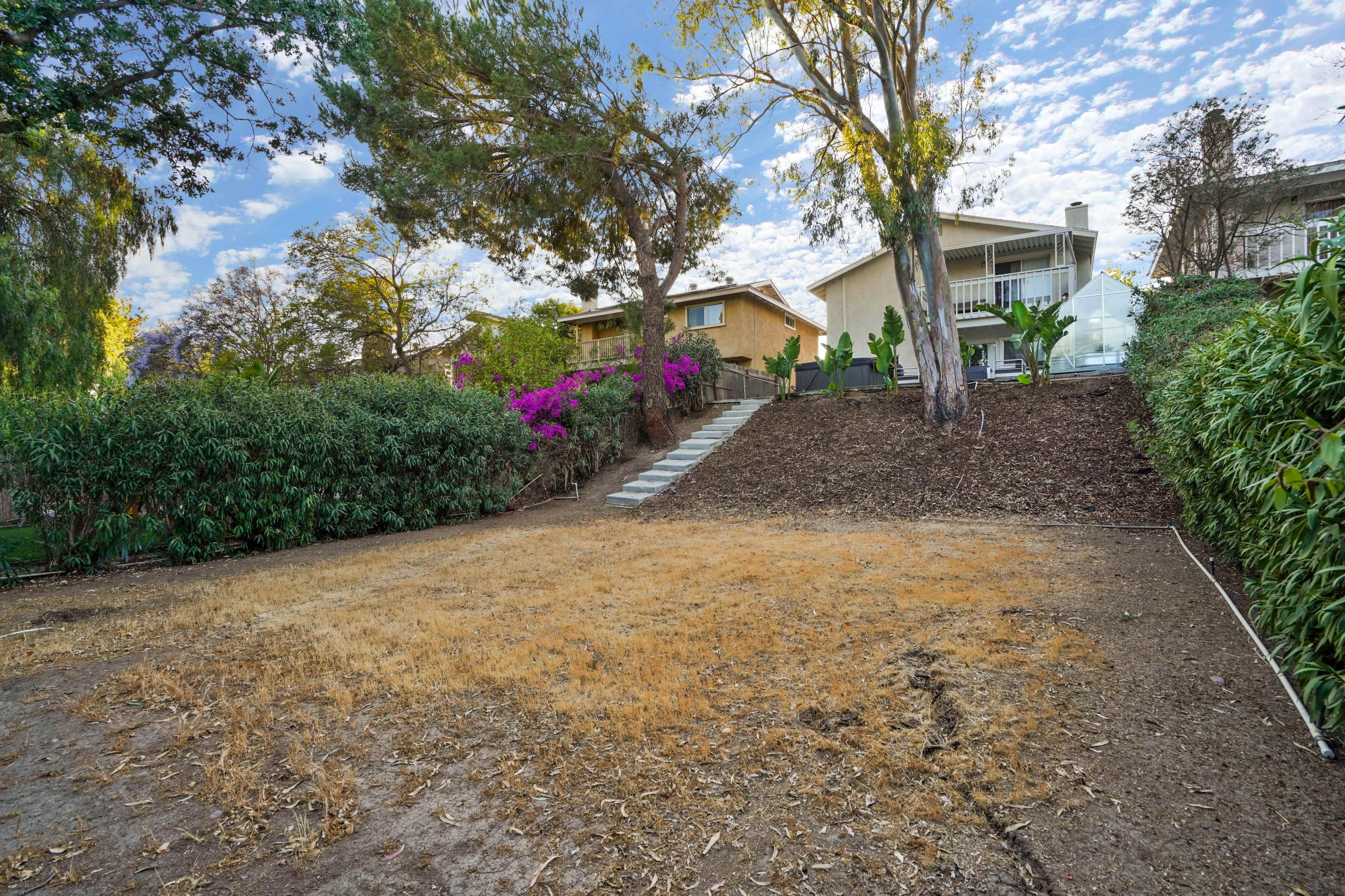 A dry, sloped backyard with a path leading up to two houses surrounded by greenery and flowering plants.
