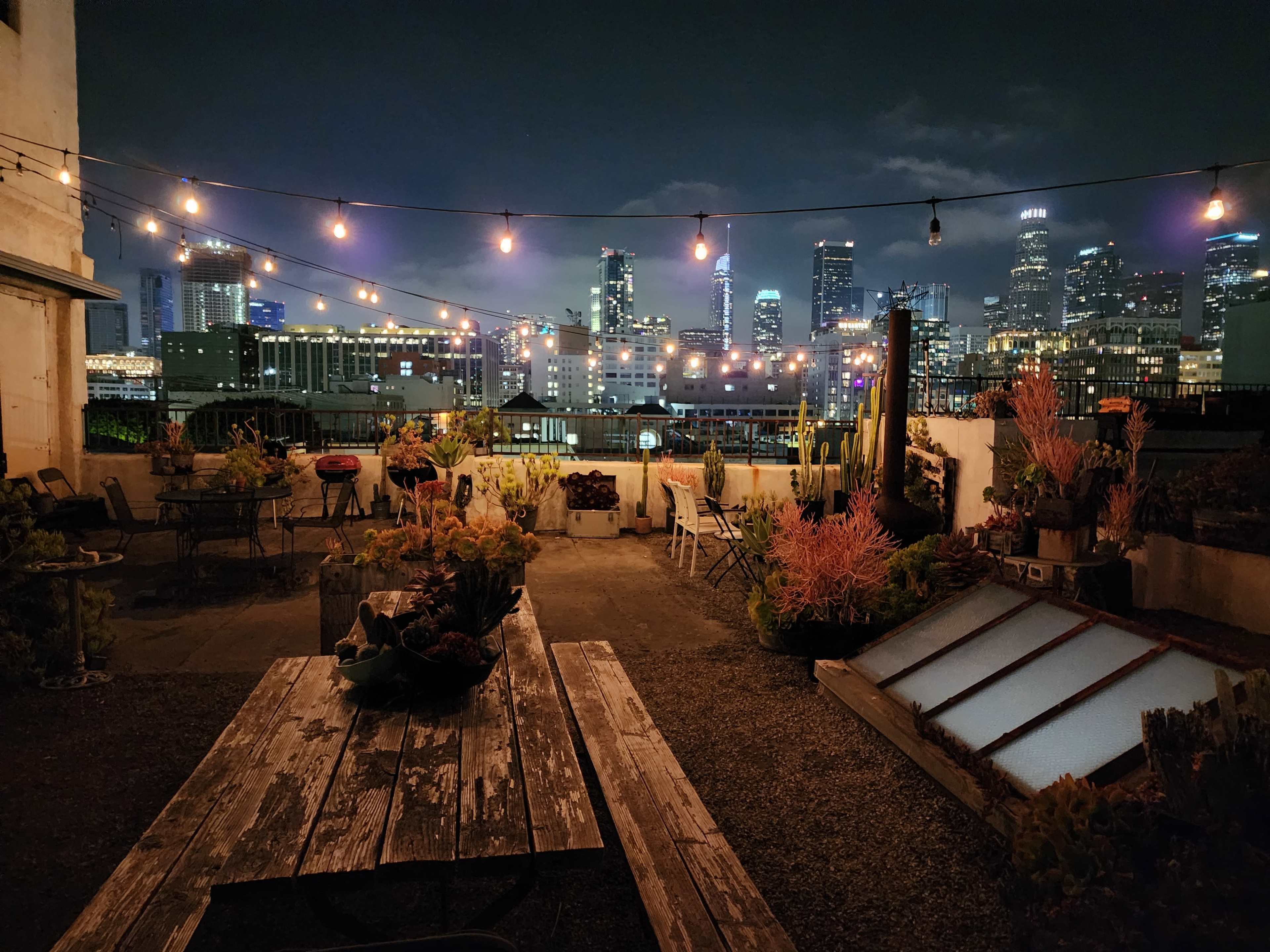 A rooftop garden with string lights and various plants overlooks a city skyline at night.