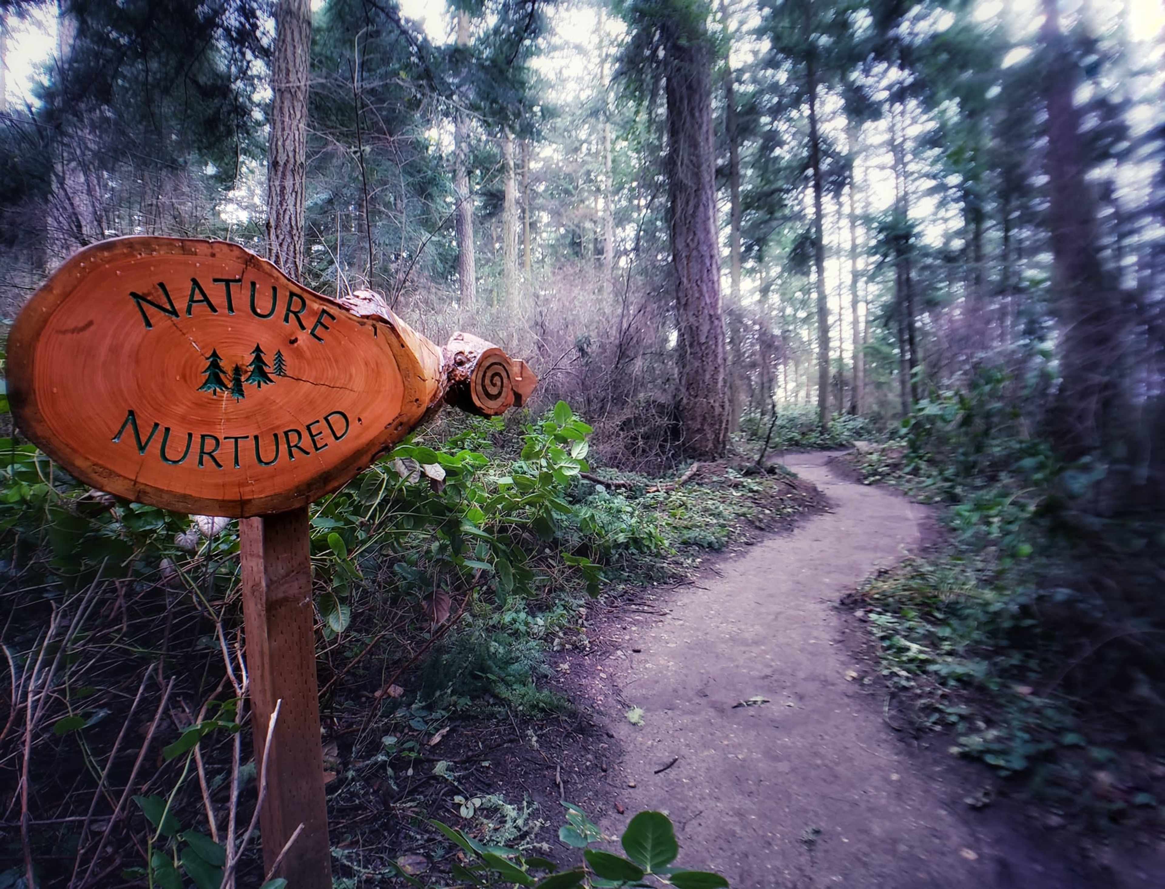 A wooden sign reading "Nature Nurtured" stands at the edge of a dirt path through a dense forest.
