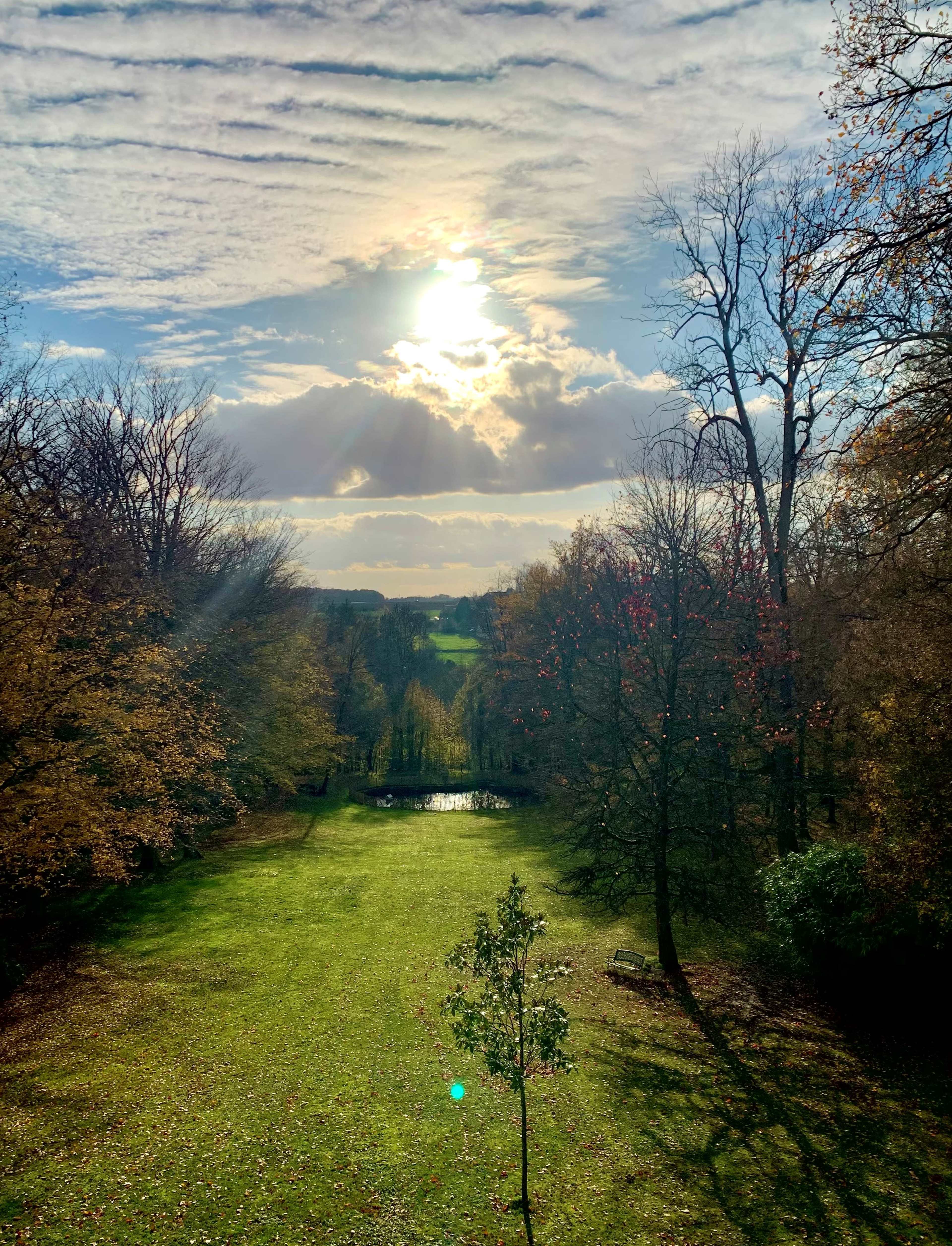 Le Manoir de la tour, dans 5 hectares de parc et de forêt Image dans , BEAUTHEIL SAINTS, 