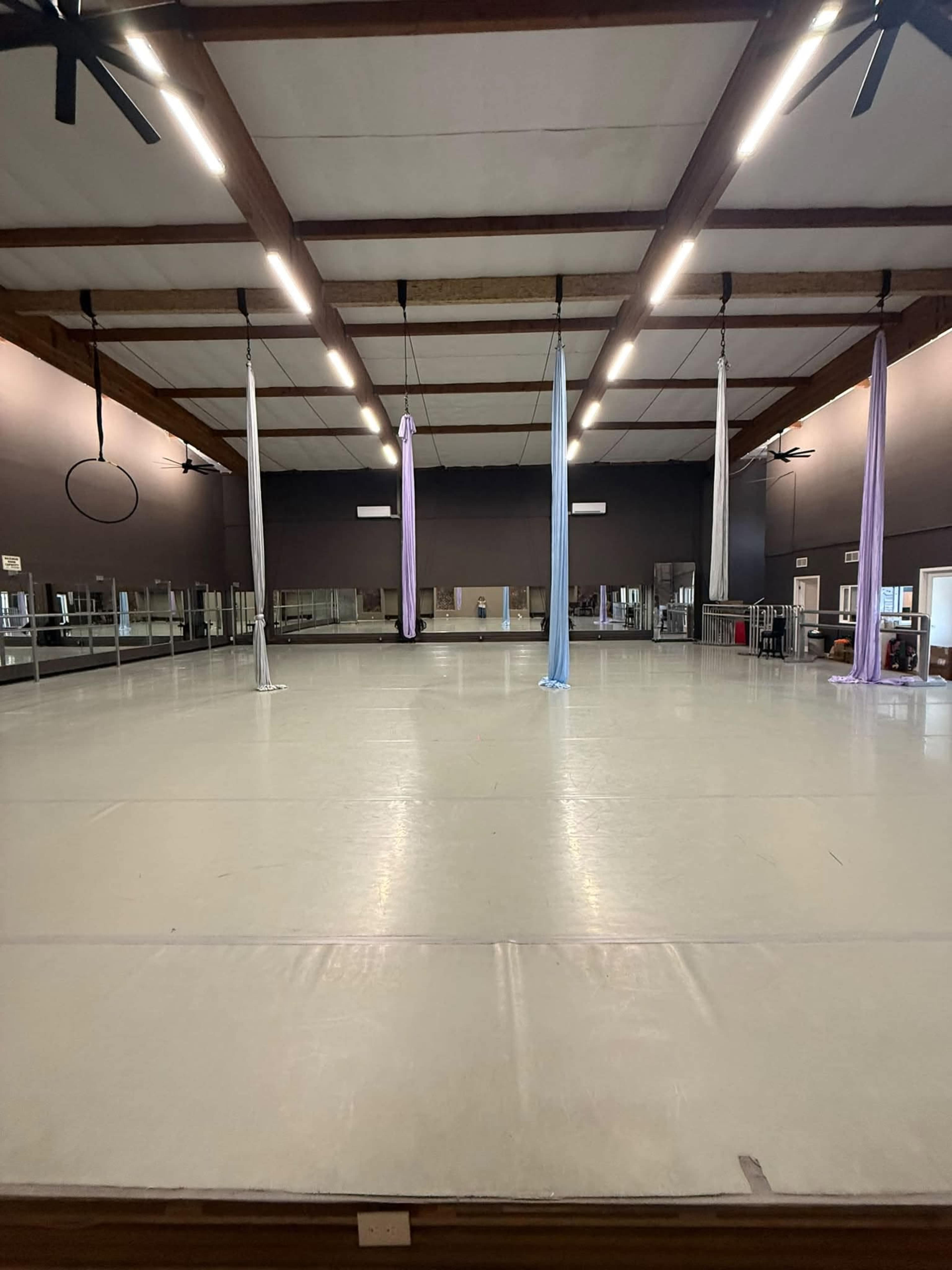 The image shows a spacious aerial arts studio with several hanging silks and mirrors lining the walls.