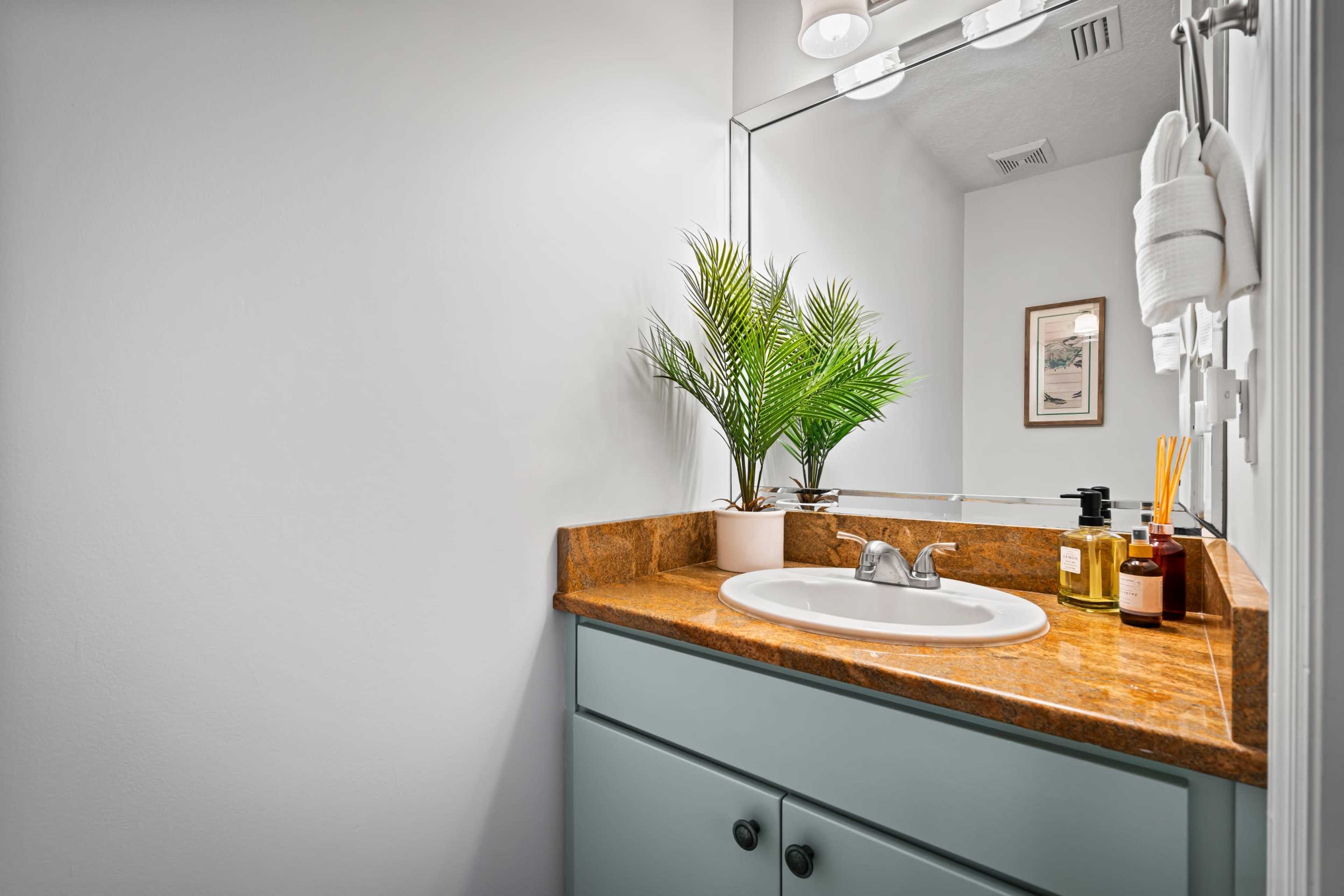 A bathroom vanity featuring a sink, a mirror, and a small potted plant on an orange-brown countertop.