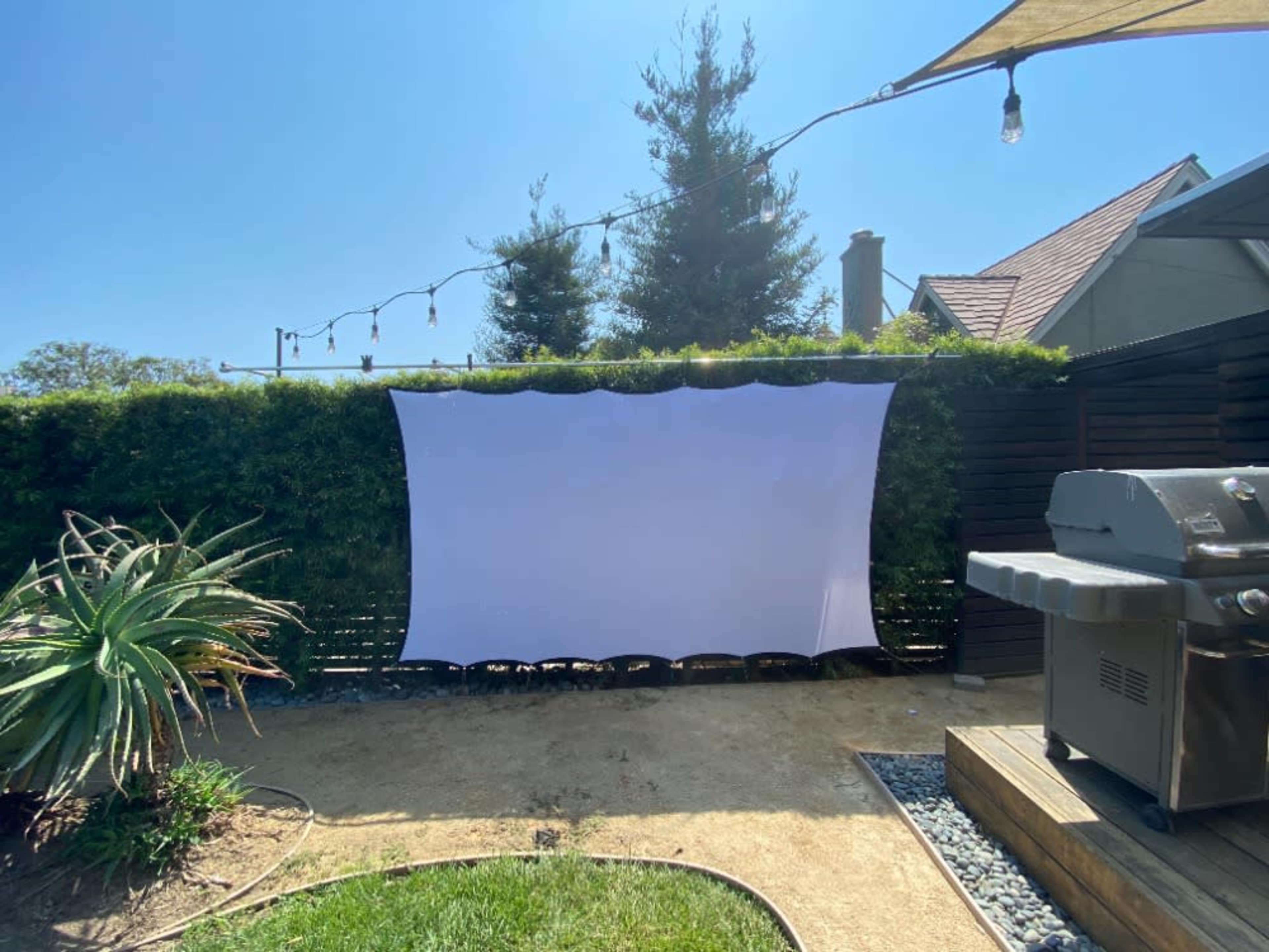 Projector Screen