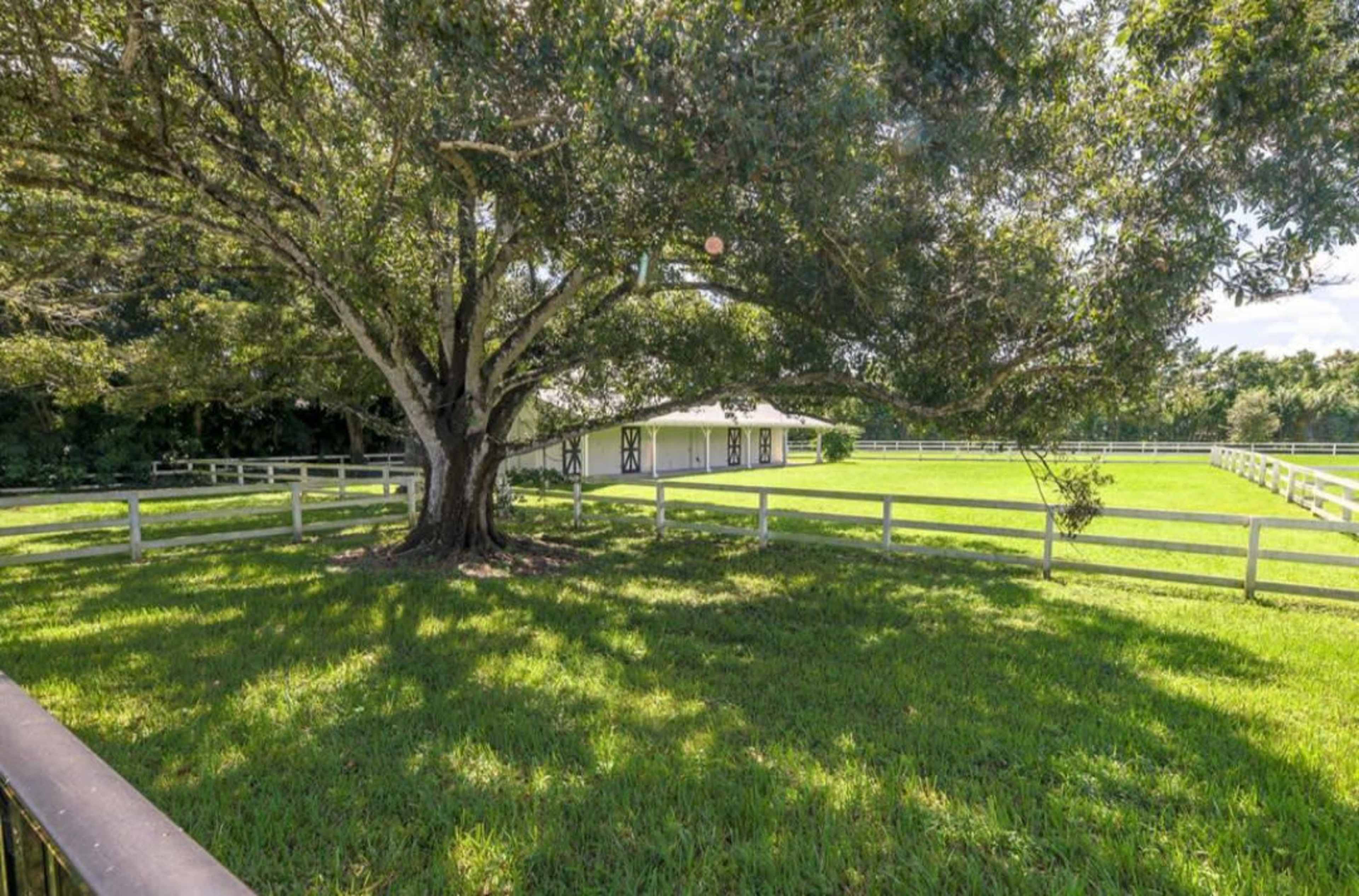 A large tree casts shade over a grassy area beside a white barn surrounded by a fence.