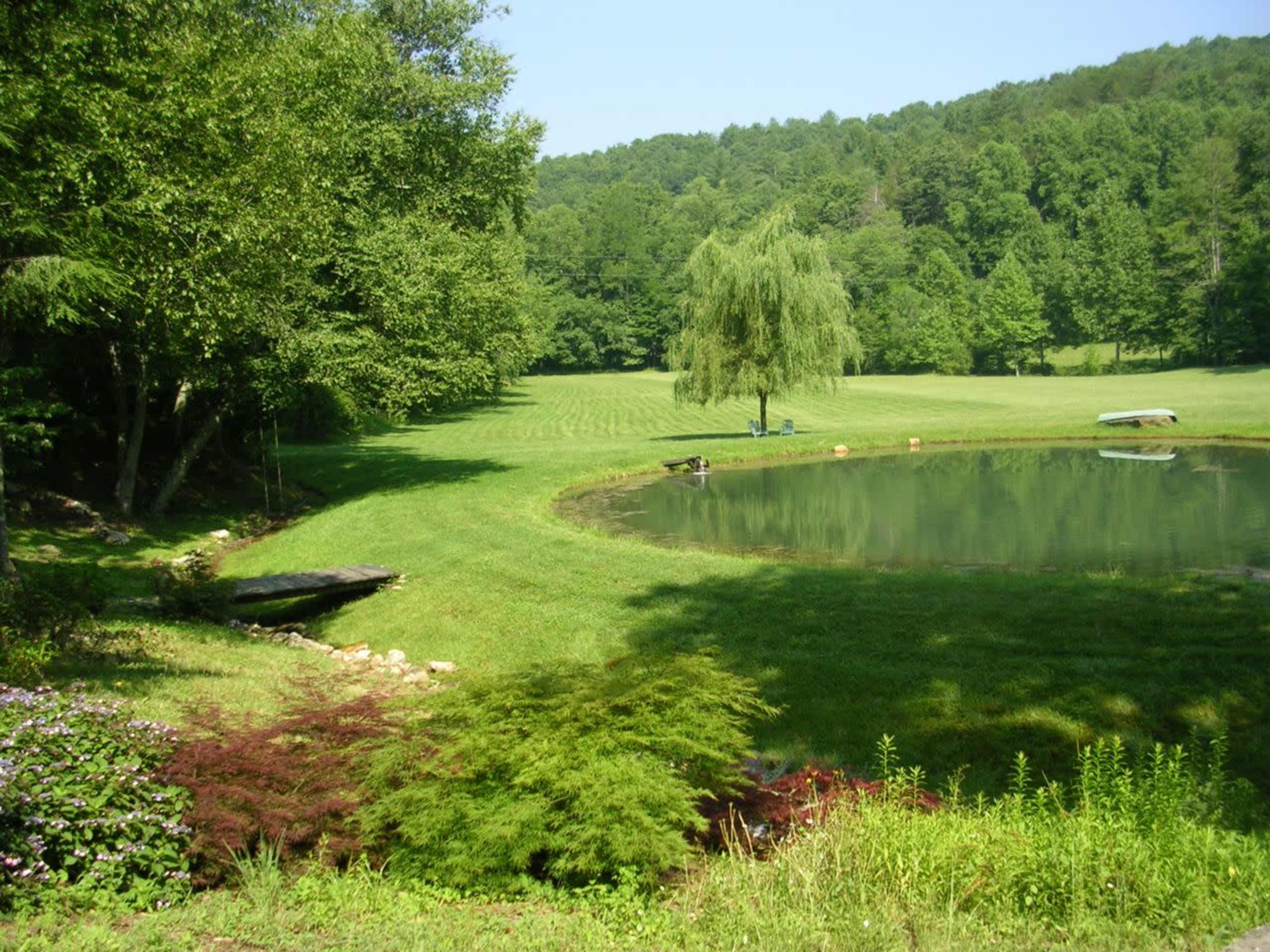 Creekside Pasture with Pond Surrounded by Mountains Image in , Cherry Log, GA