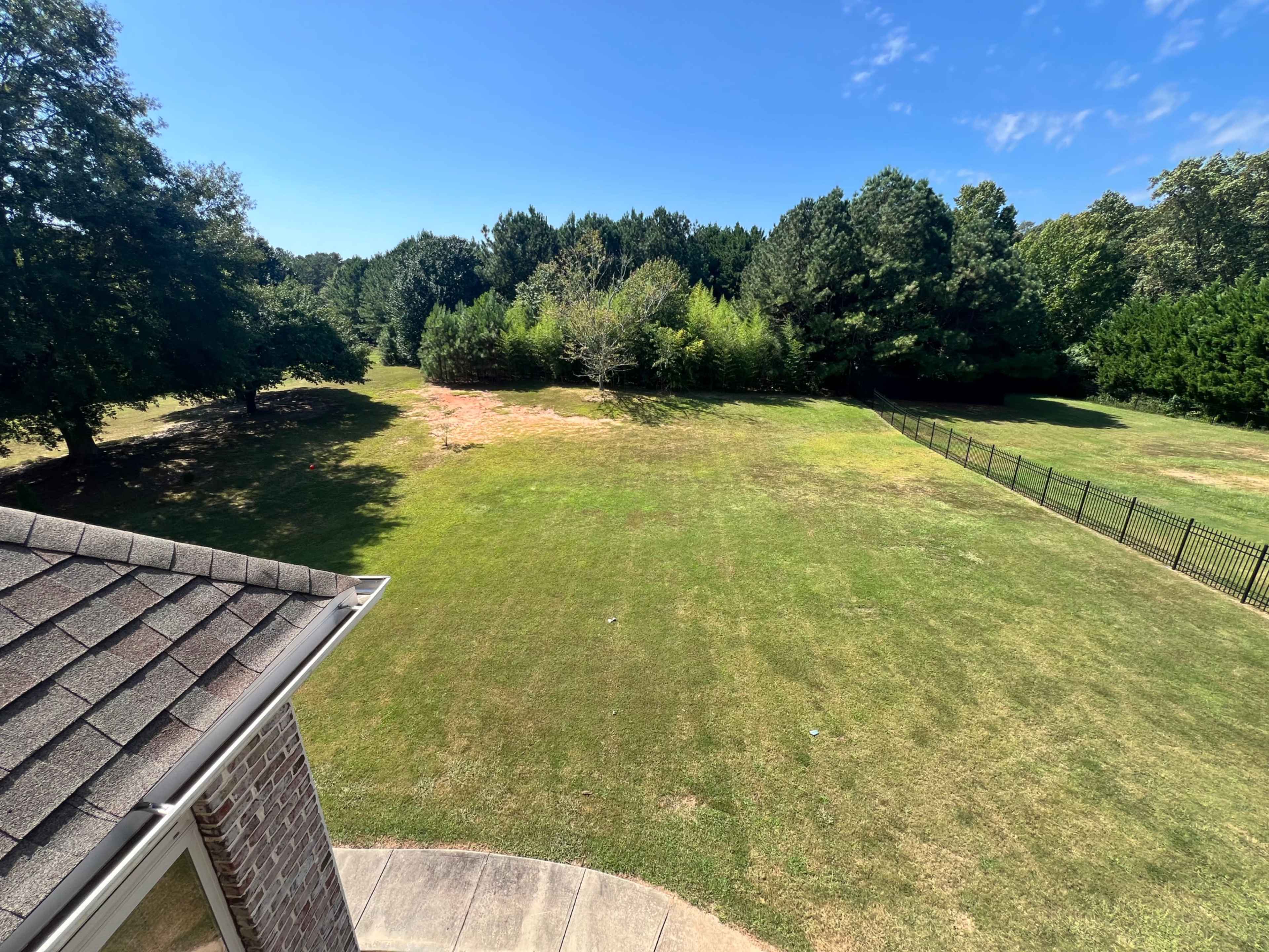 A grassy area with scattered trees and a black fence in the background under a clear blue sky.