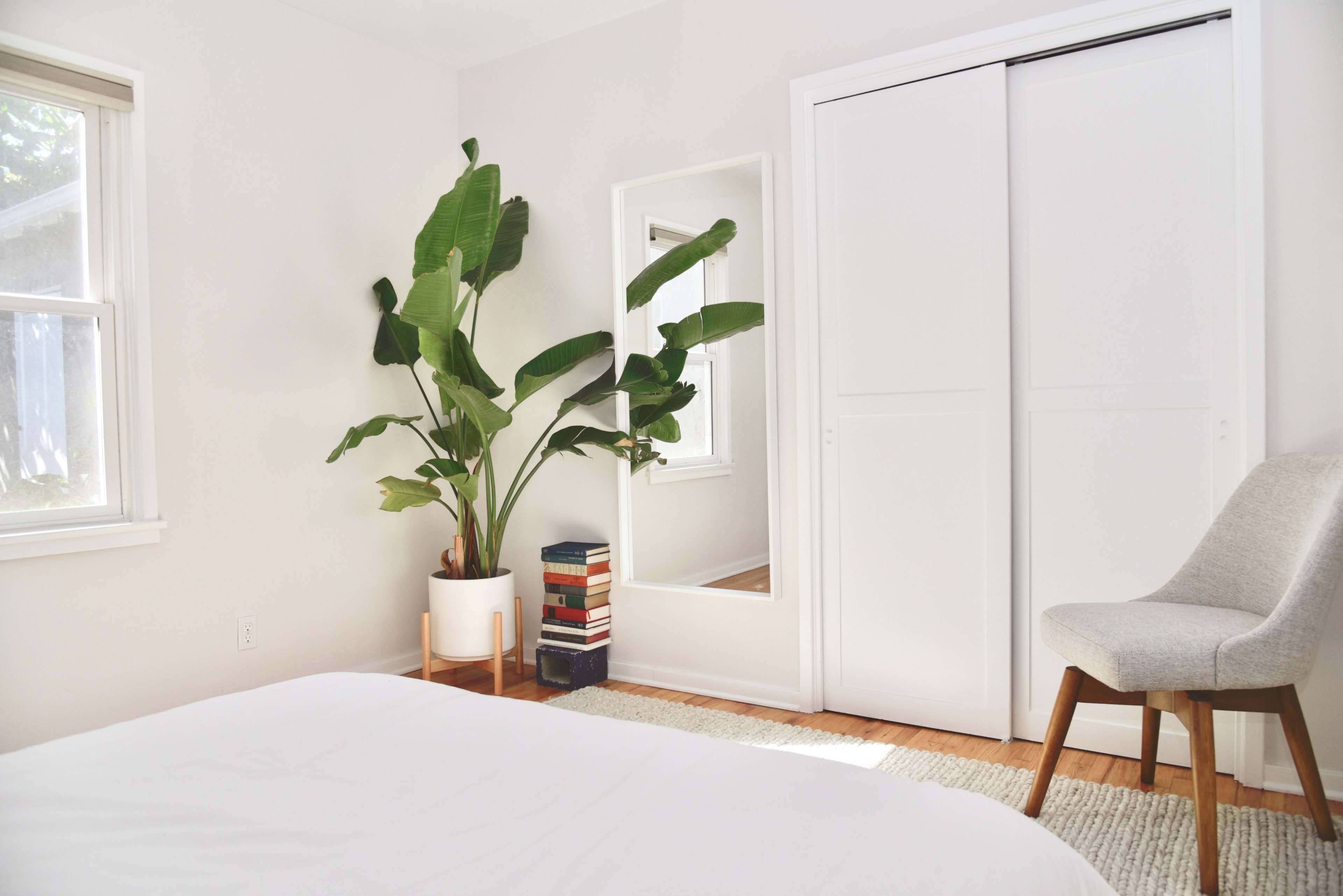 A bright bedroom featuring a large potted plant, a mirror, a stack of books, and a chair next to a white closet.