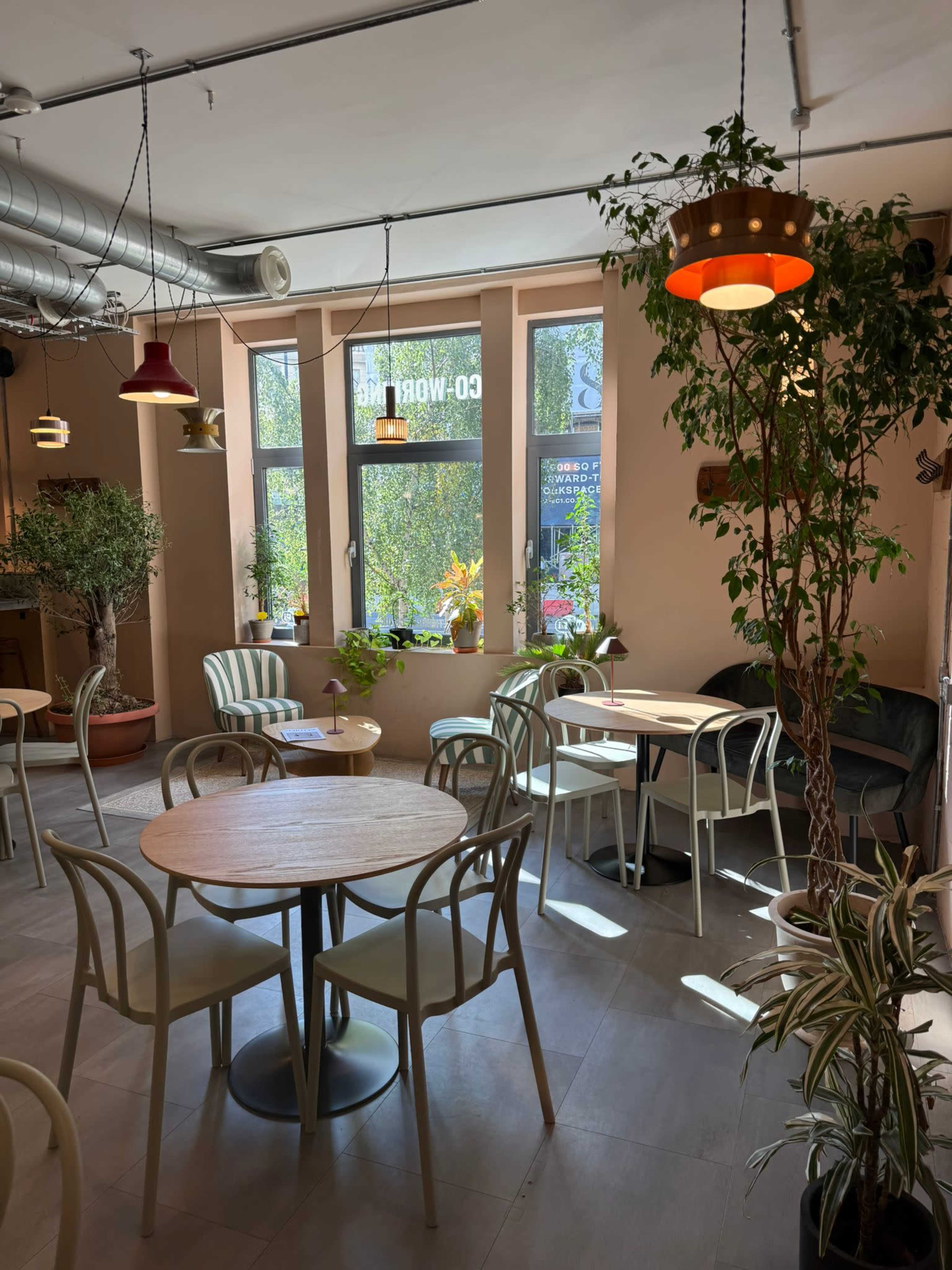 The image shows a cozy café interior with multiple tables, plants, and large windows allowing natural light to enter.