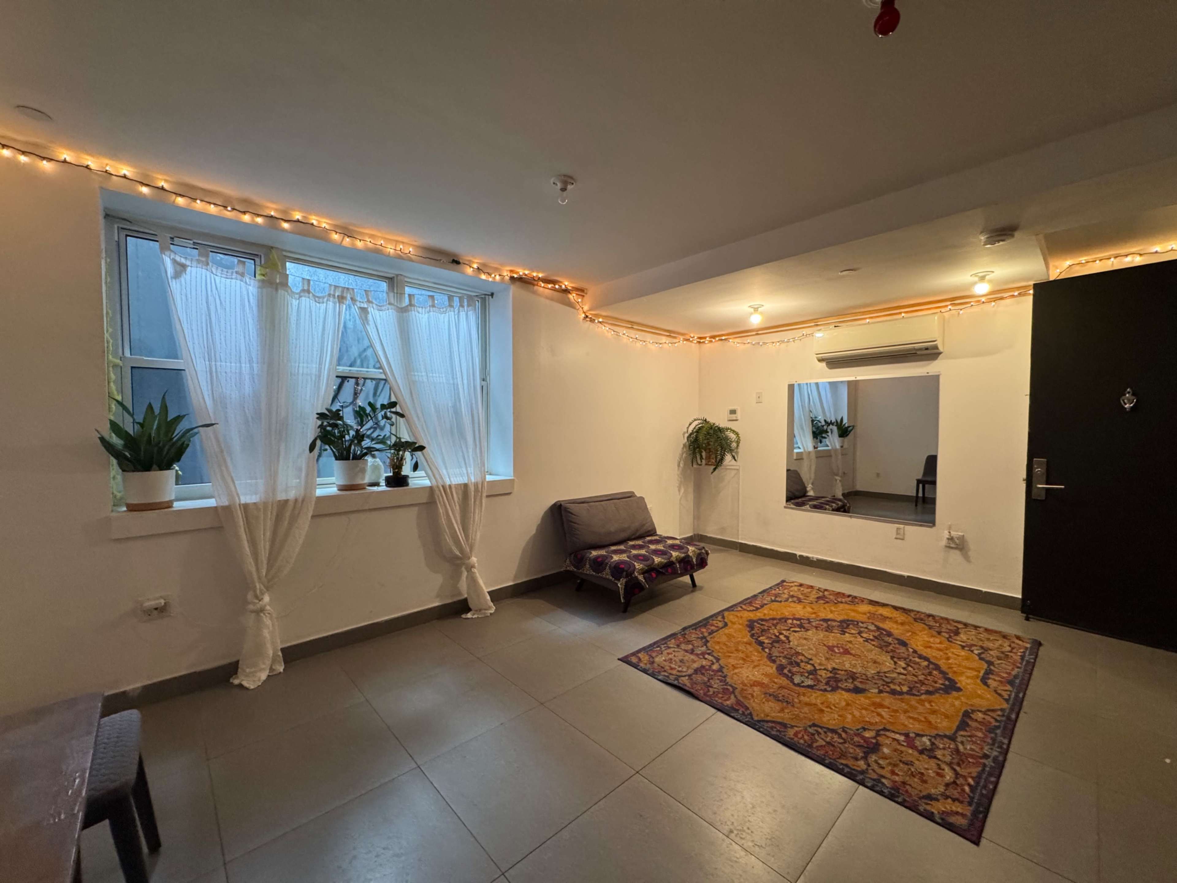 The image shows a well-lit room with a large area rug, a sofa, potted plants near the window, and a mirror on one wall.