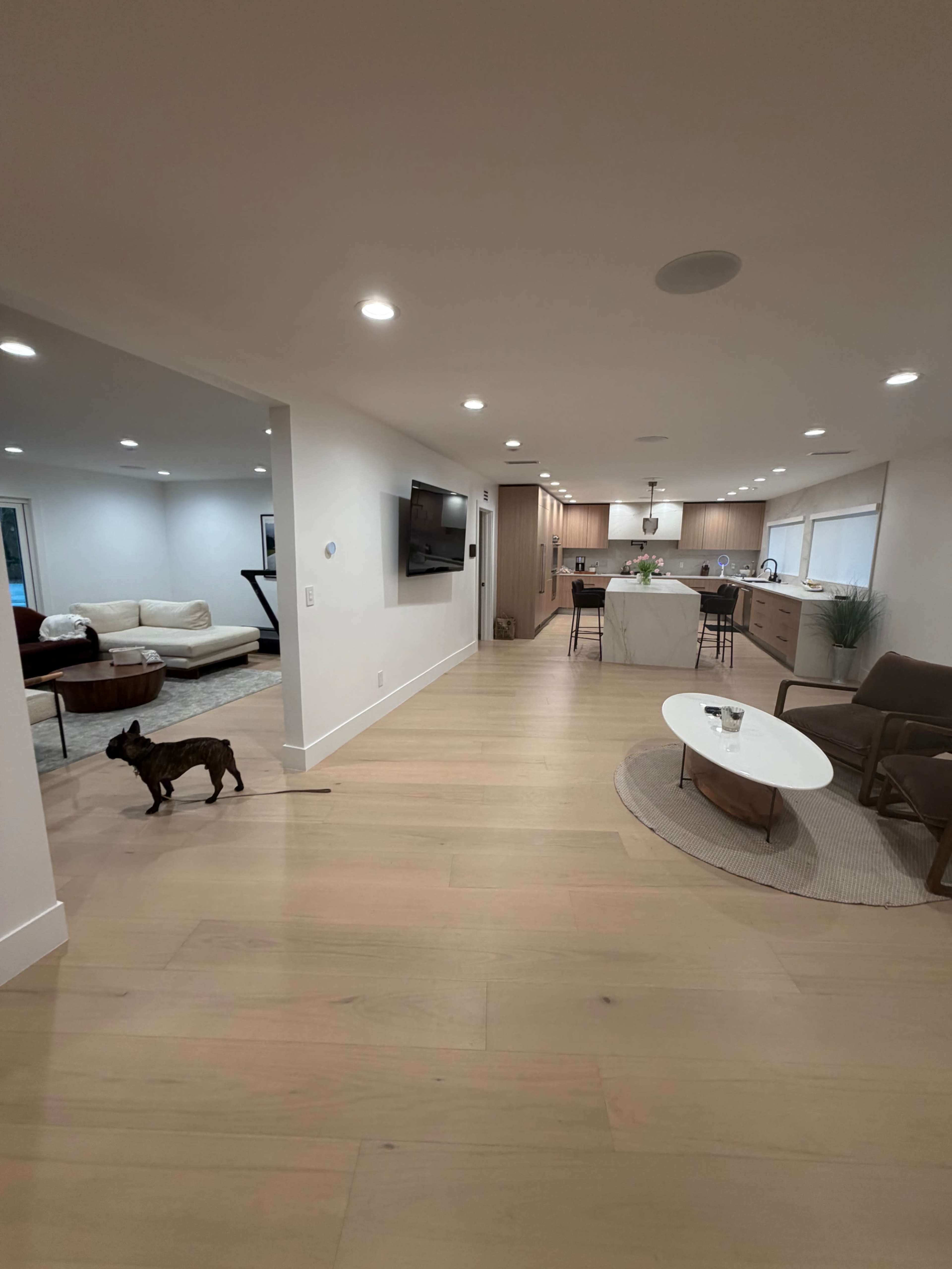 A spacious, modern living area features a kitchen in the background, a cozy seating arrangement to the right, and a dog walking across the wooden floor.