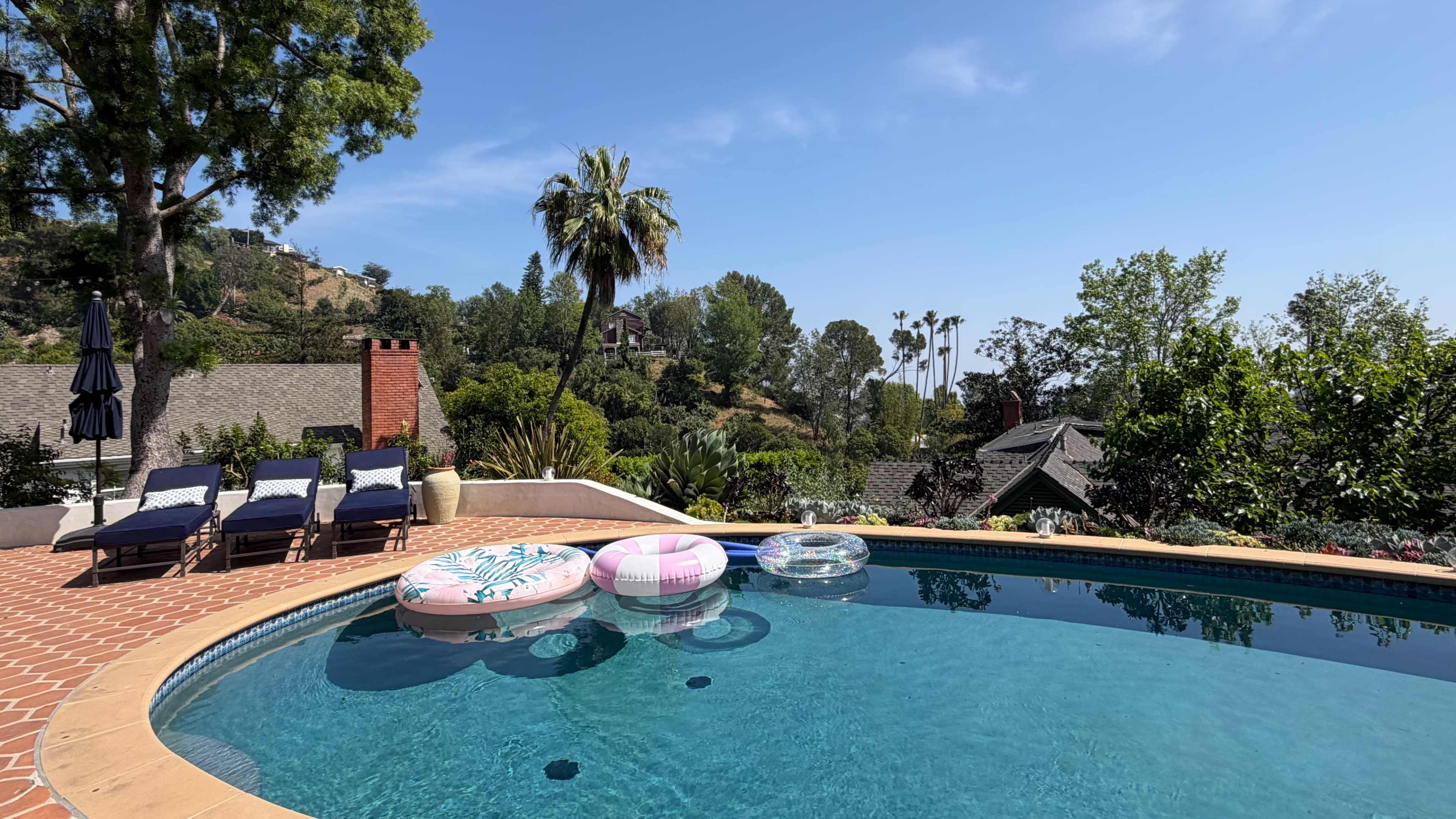 The scene features a swimming pool surrounded by lounge chairs and colorful pool floats, with a hillside and palm trees in the background under a clear sky.