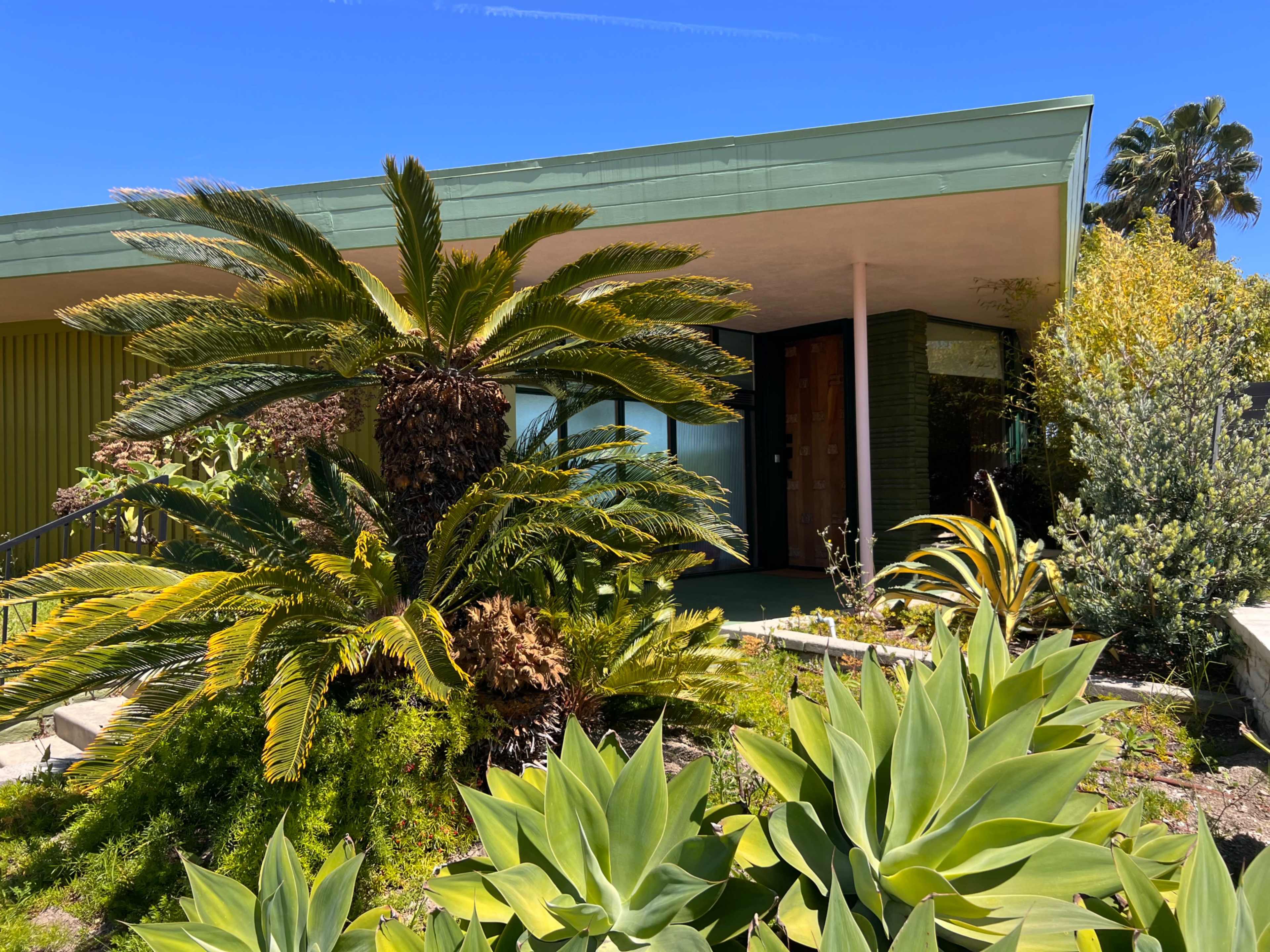 The image shows a mid-century modern house surrounded by tropical plants and cacti under a clear blue sky.