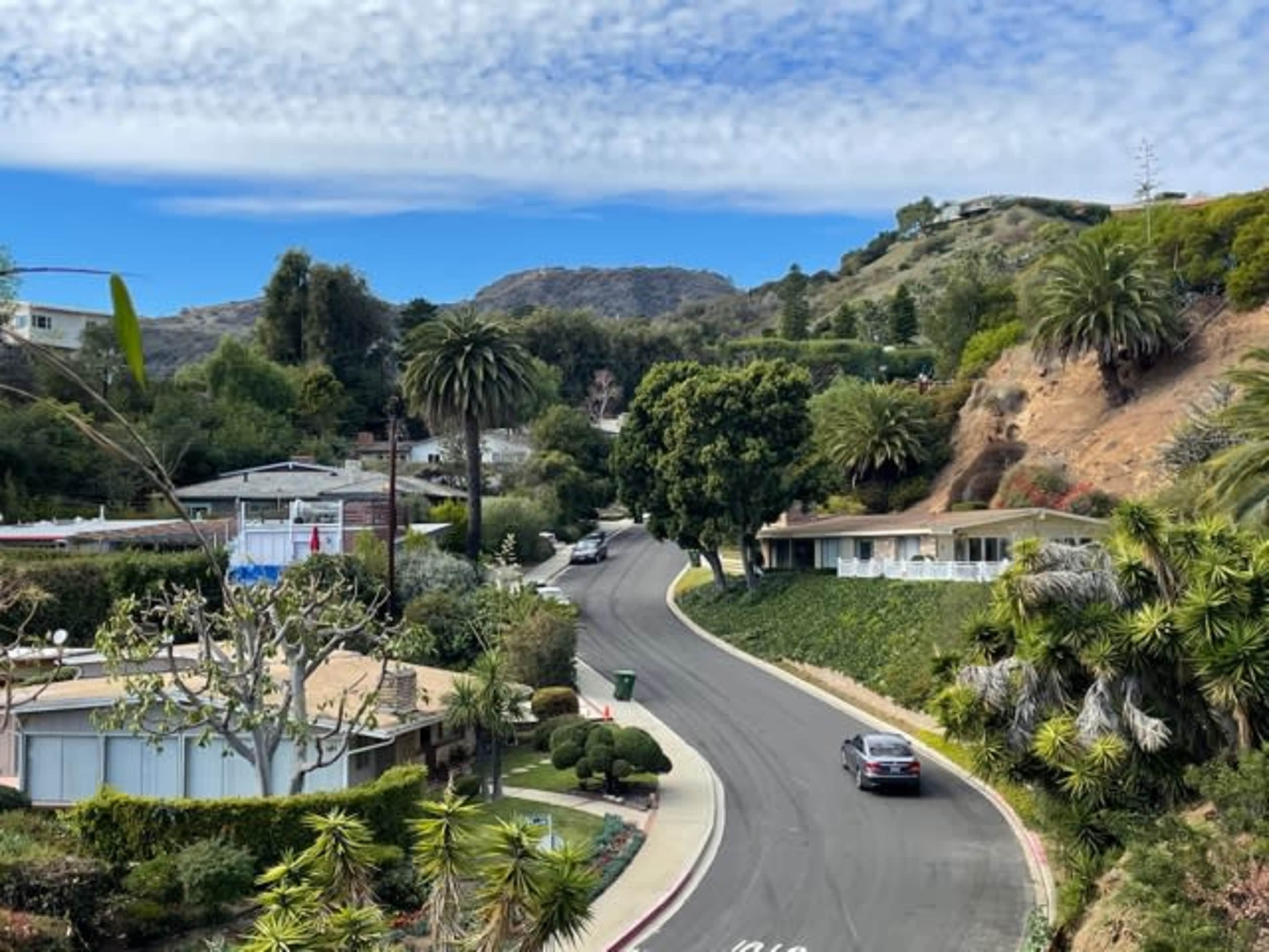 The image shows a winding road lined with palm trees and houses, set against a backdrop of hills and a partly cloudy sky.