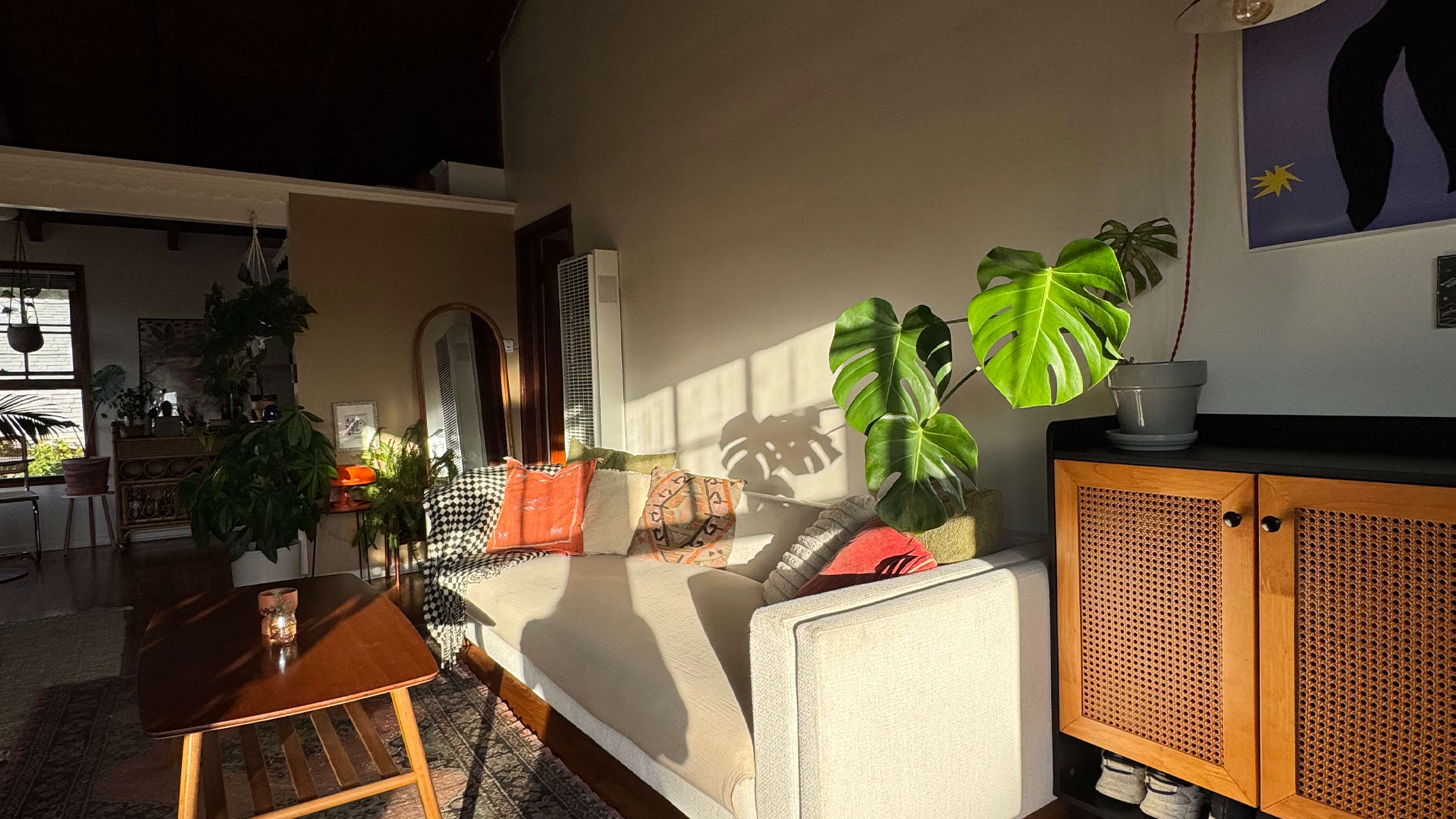 The image shows a cozy living room with a sofa, plants, and a wooden coffee table, illuminated by sunlight.