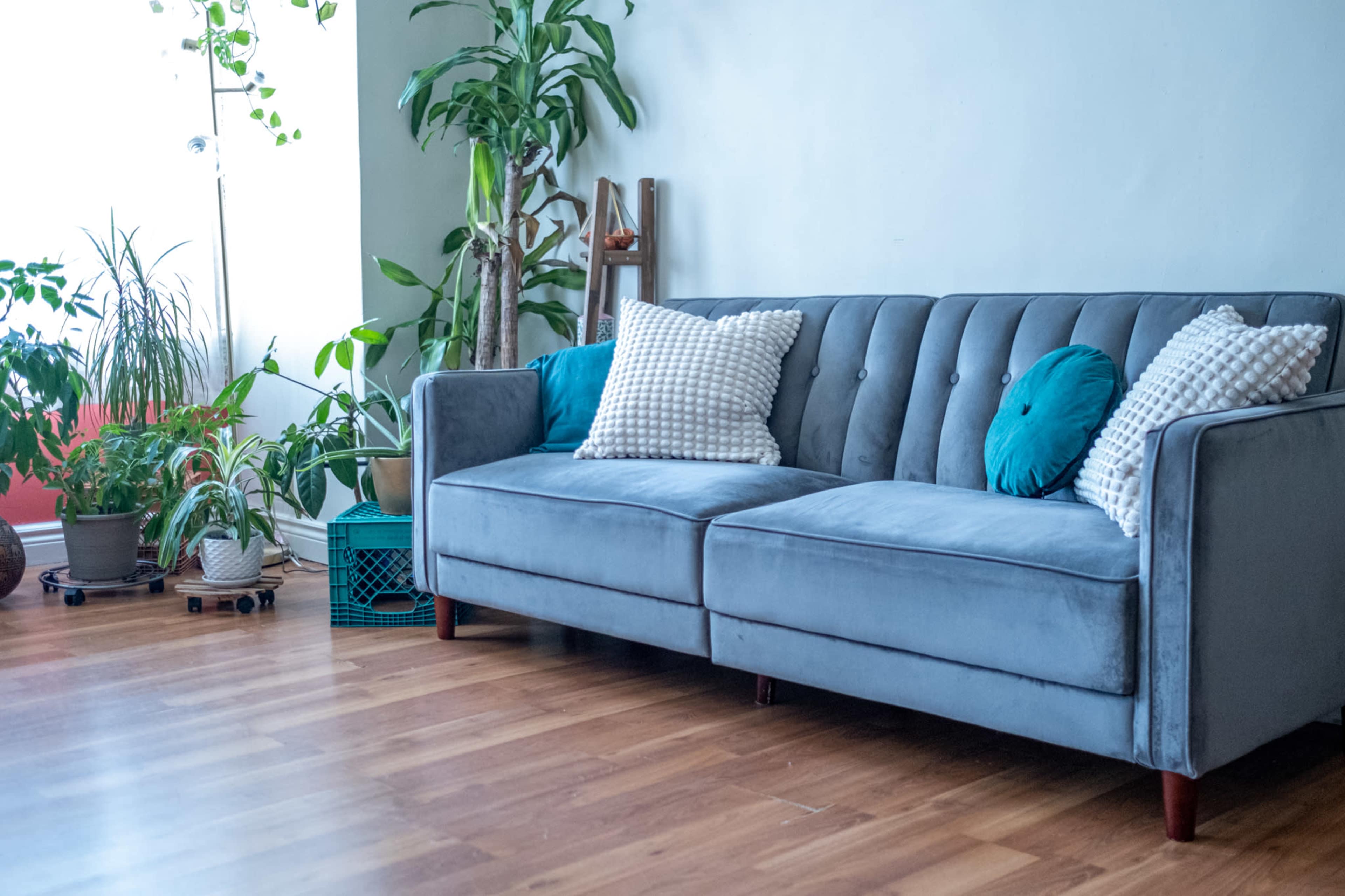 The image shows a grey sofa with decorative pillows next to potted plants in a well-lit room with wooden flooring.