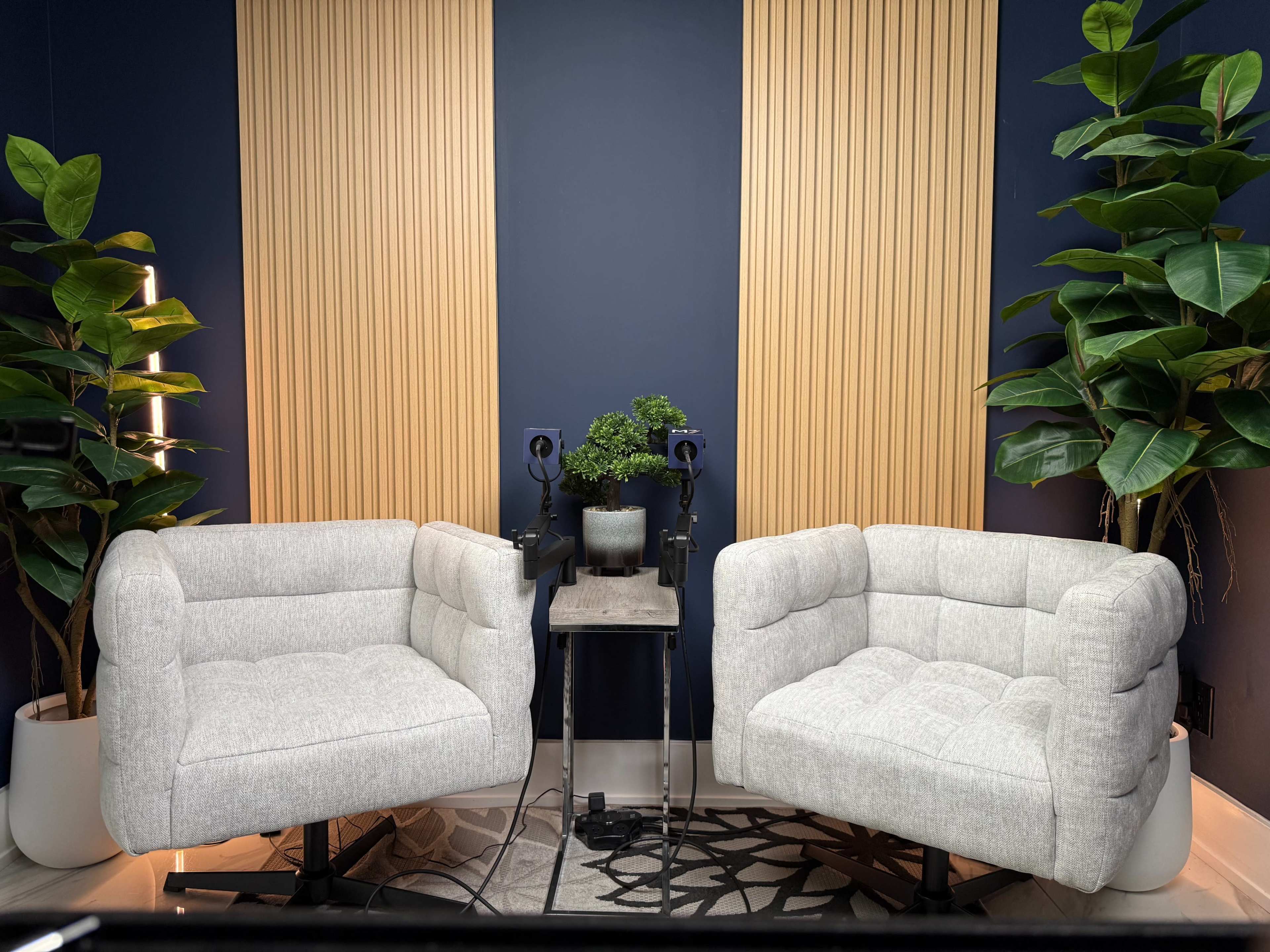 The image features two gray upholstered chairs positioned facing each other on a patterned rug, with a small table and a potted plant between them against a dark blue wall.