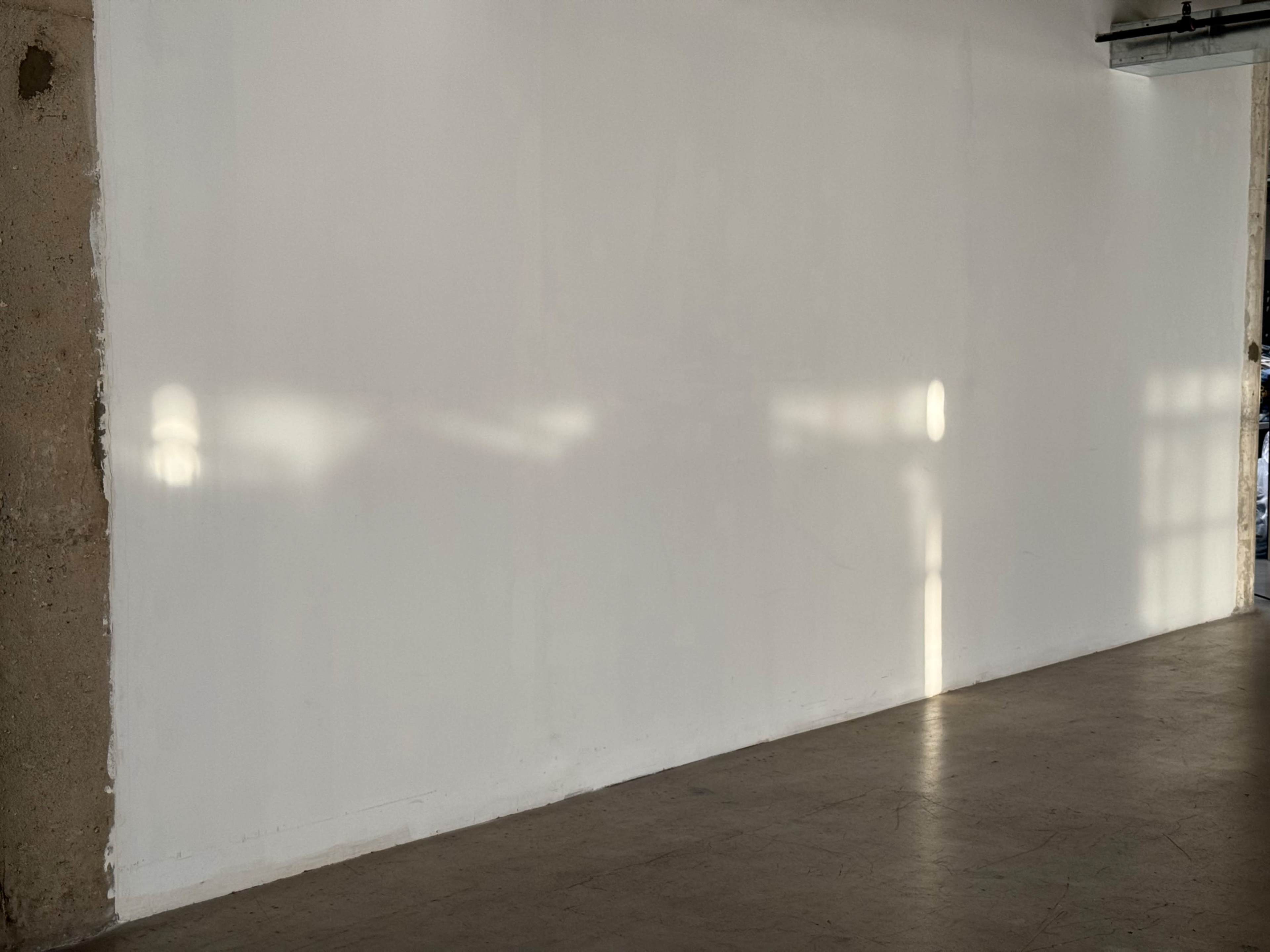 A plain white wall reflects soft shadows and light patterns from windows nearby.