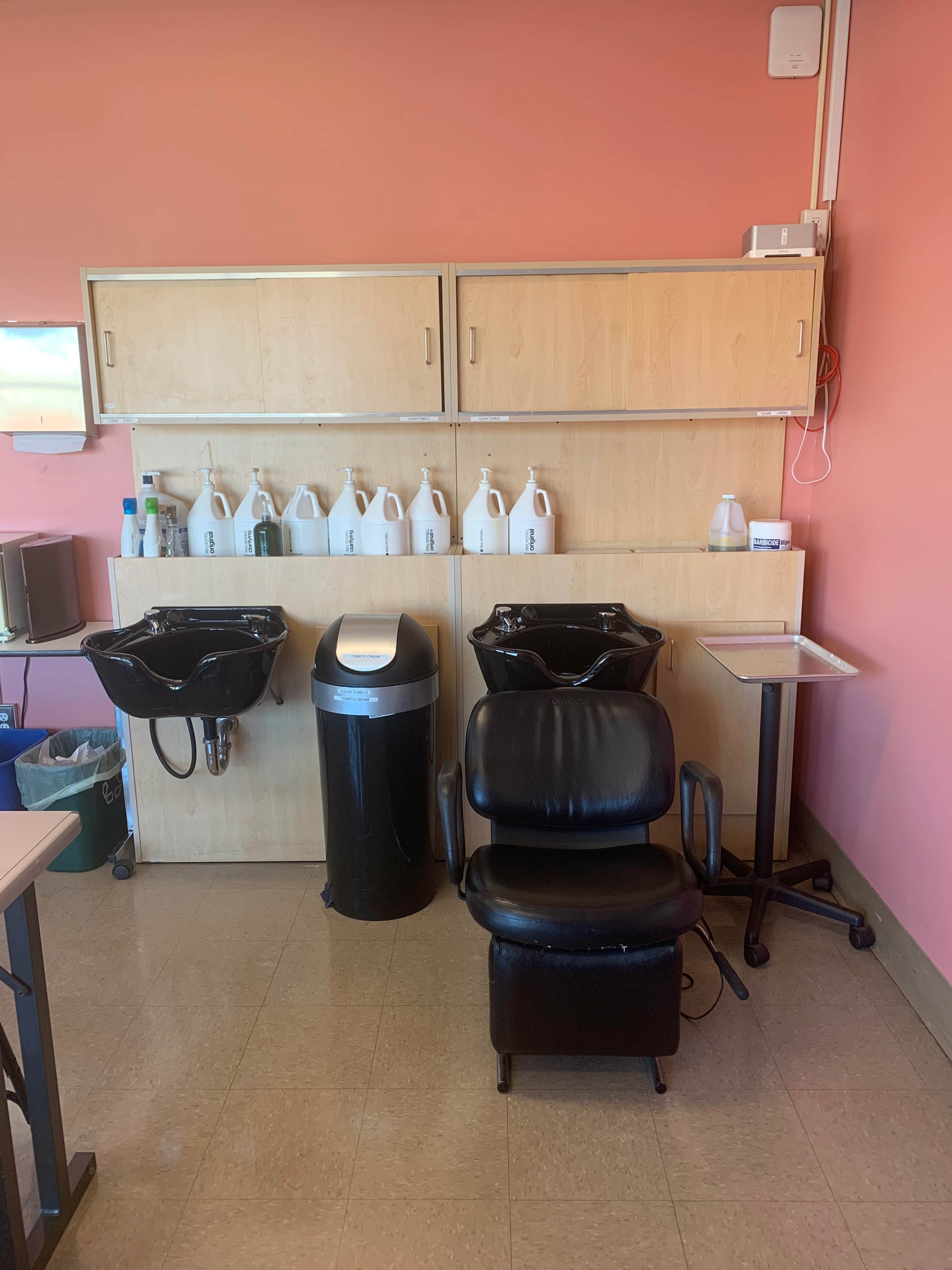 The image shows a hair salon area with two shampoo bowls, a black salon chair, a wastebasket, and a cabinet containing various bottles and containers, all set against a pink wall.