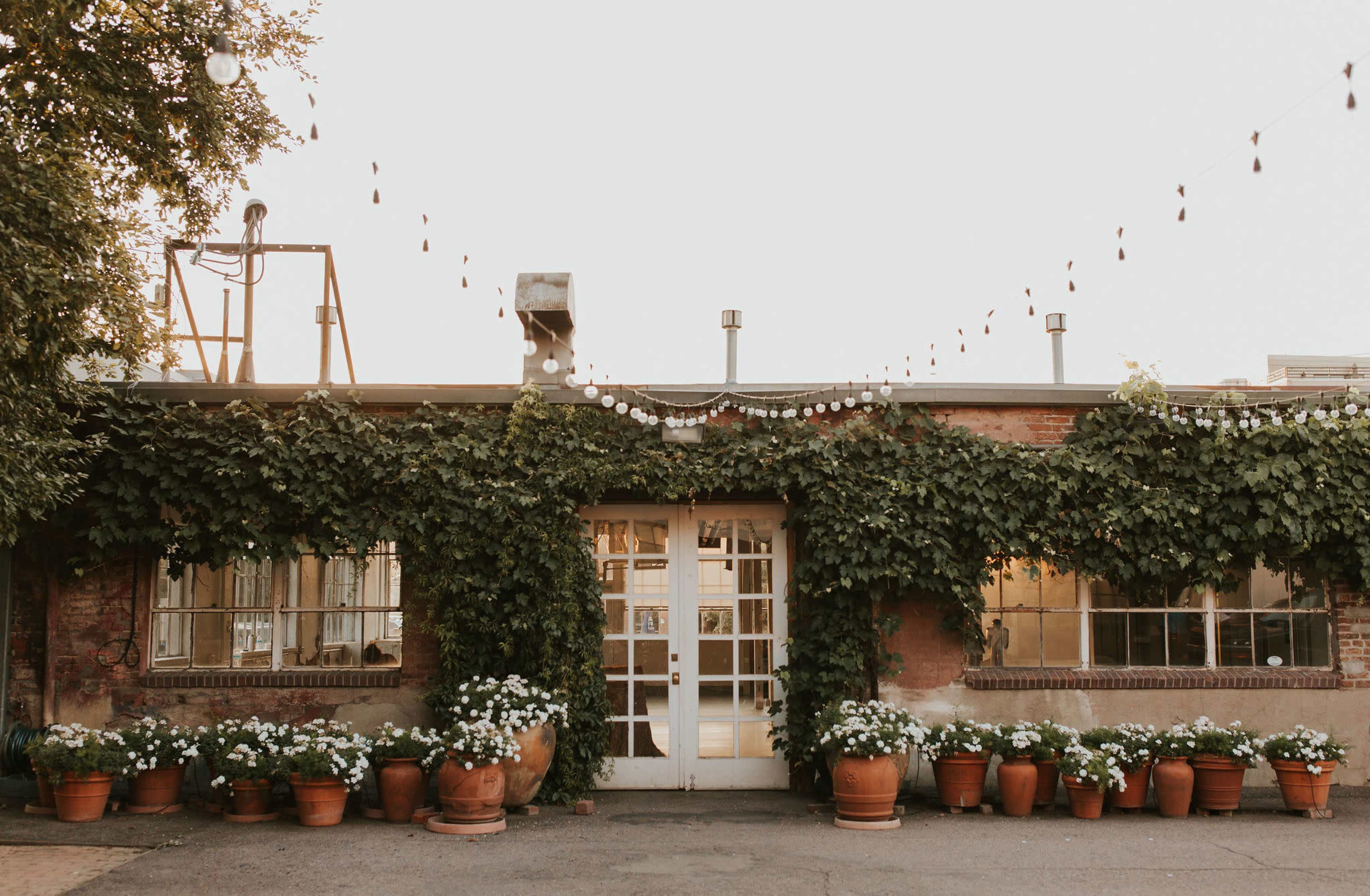 A rustic building adorned with lush green vines and potted white flowers along the entrance, under a string of decorative lights.