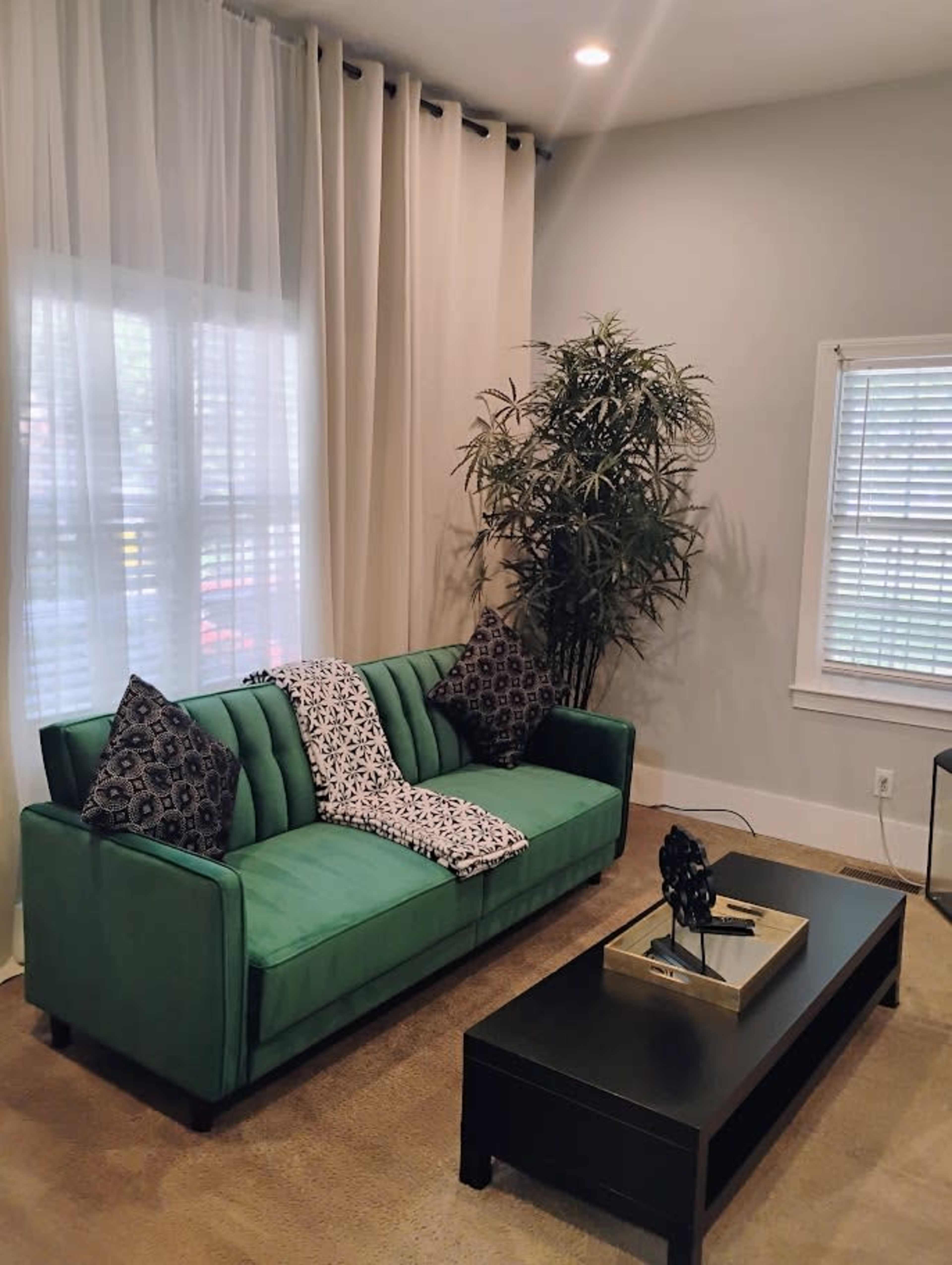 The image shows a neatly arranged living room featuring a green sofa with decorative pillows, a black coffee table, and a floor plant beside large windows with sheer curtains.