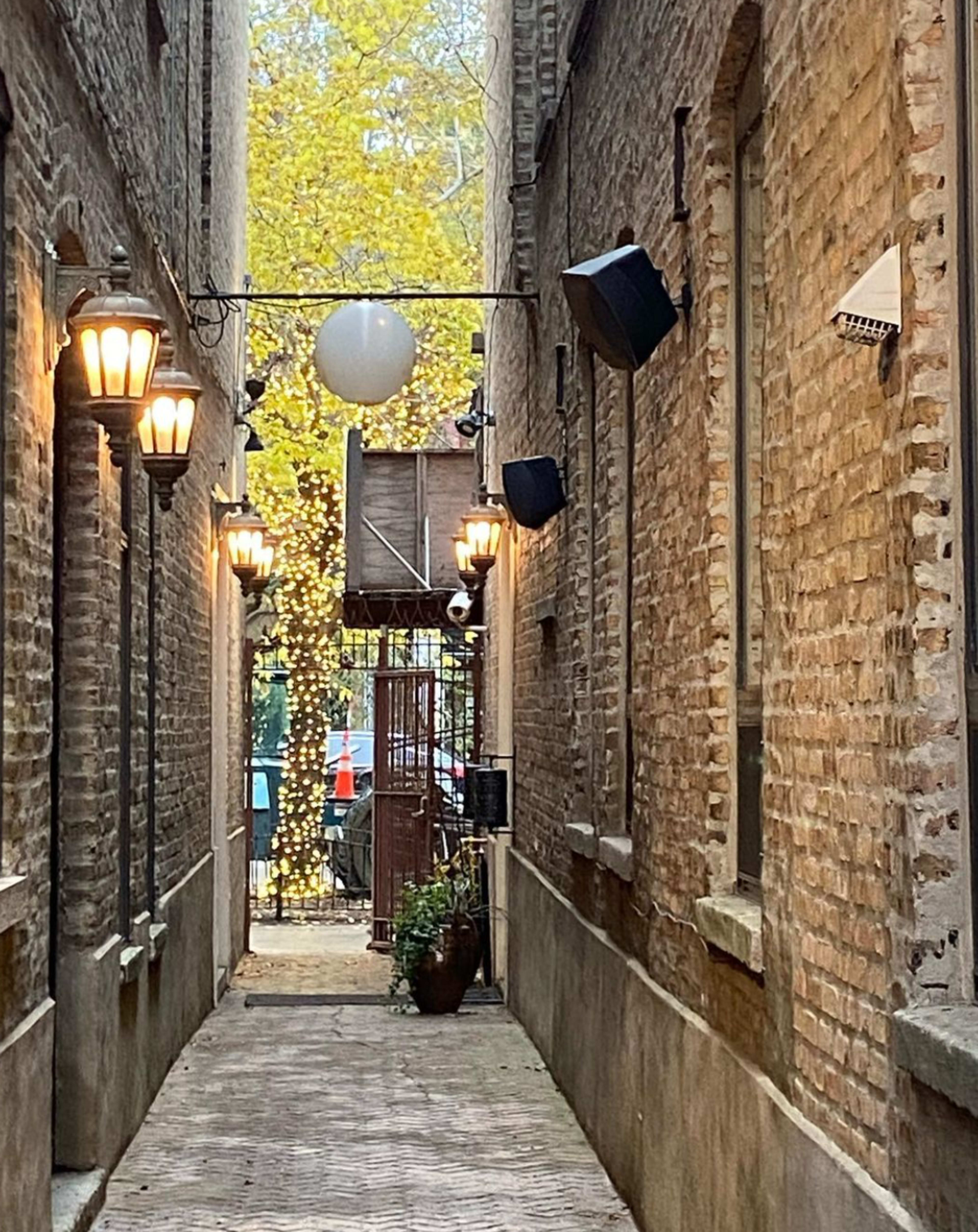 Your Own 8 Bedroom Private Inn and Event Space, Urban Garden Included Image in West Town, Chicago, IL