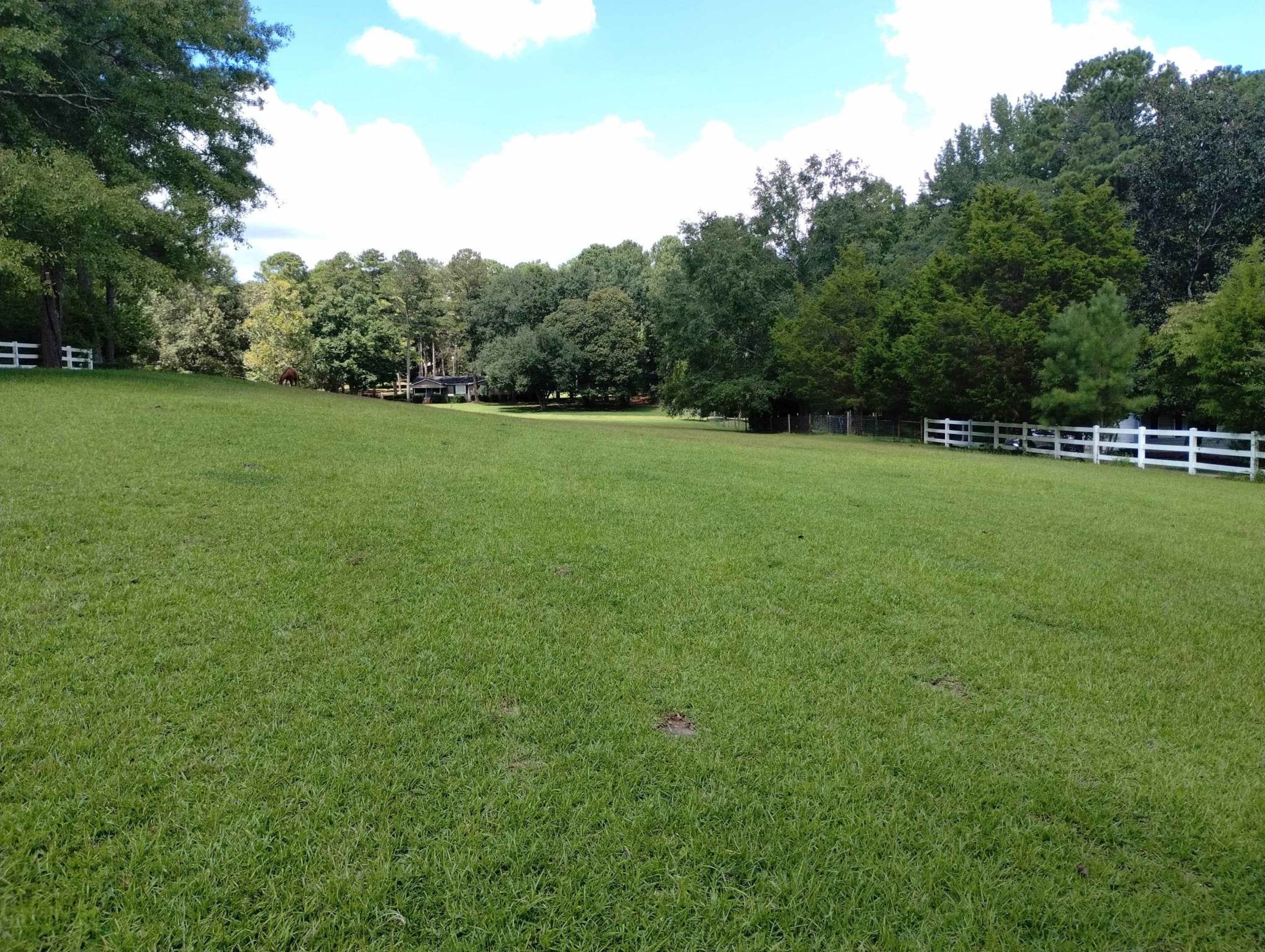 A grassy field extends towards a wooded area, with a white fence lining one side.