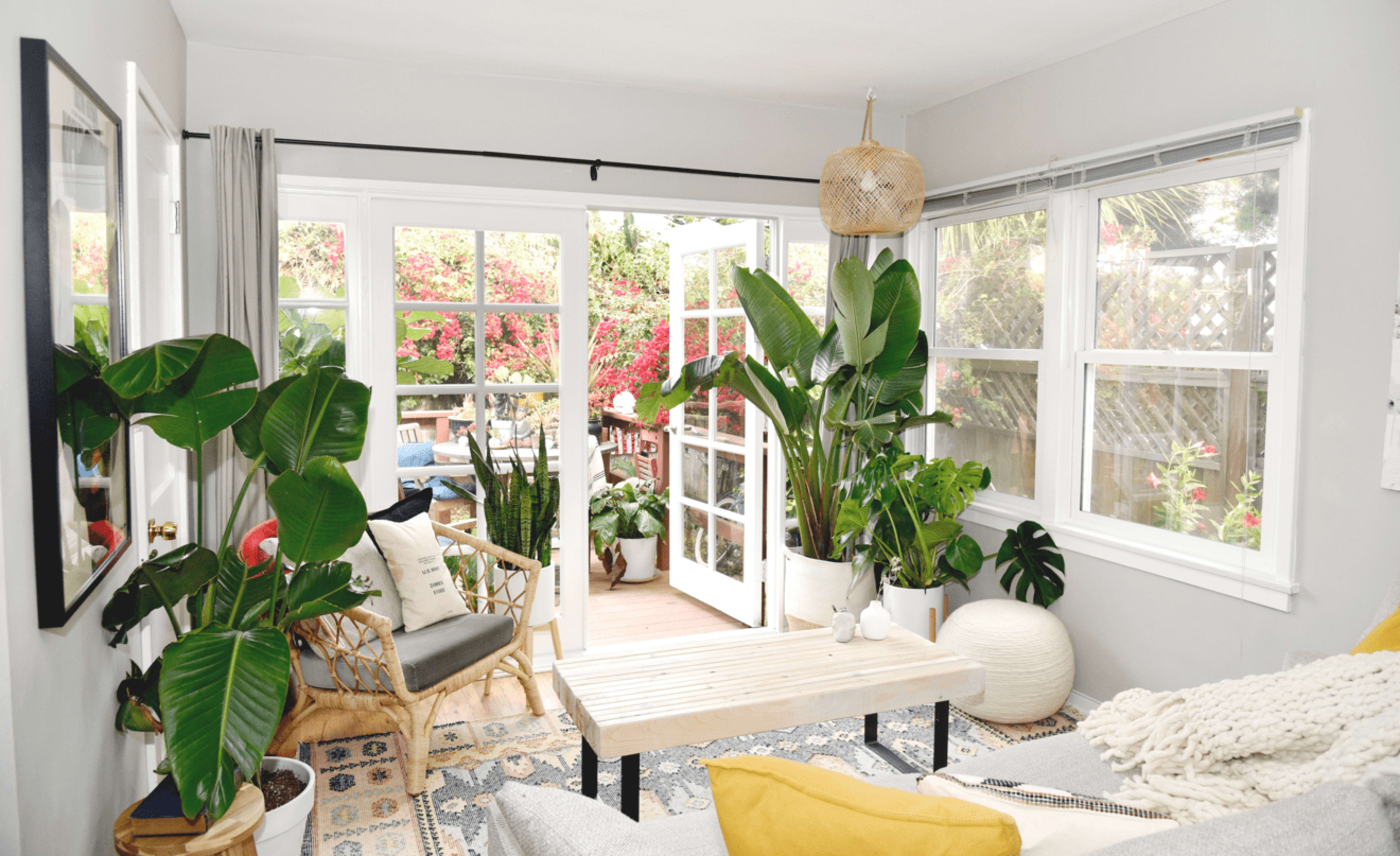 A bright living room features large plants, a wooden coffee table, and open French doors leading to a garden.
