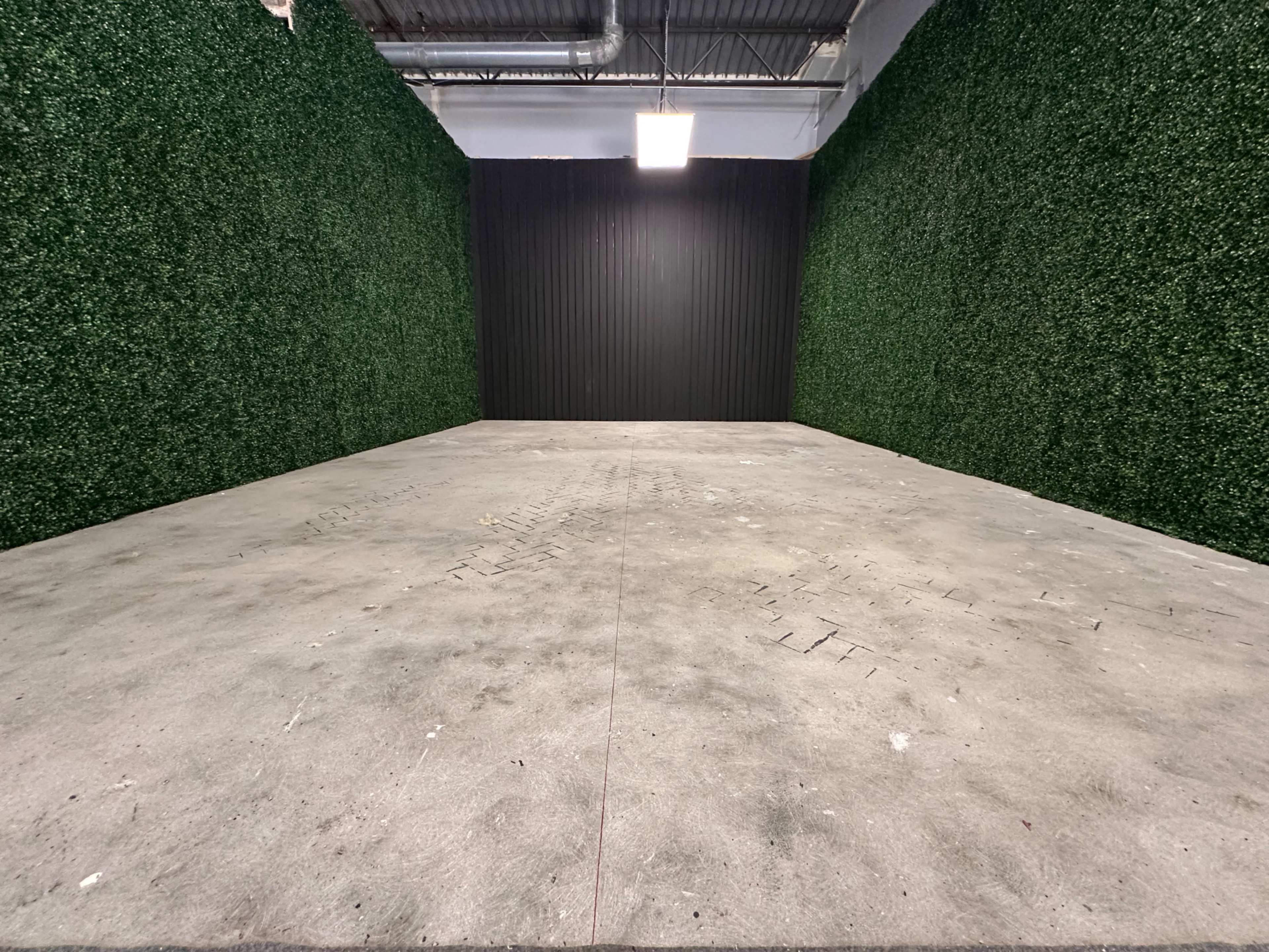Stylish Content Studio with Grass WallS Image in Cumberland, Atlanta, GA