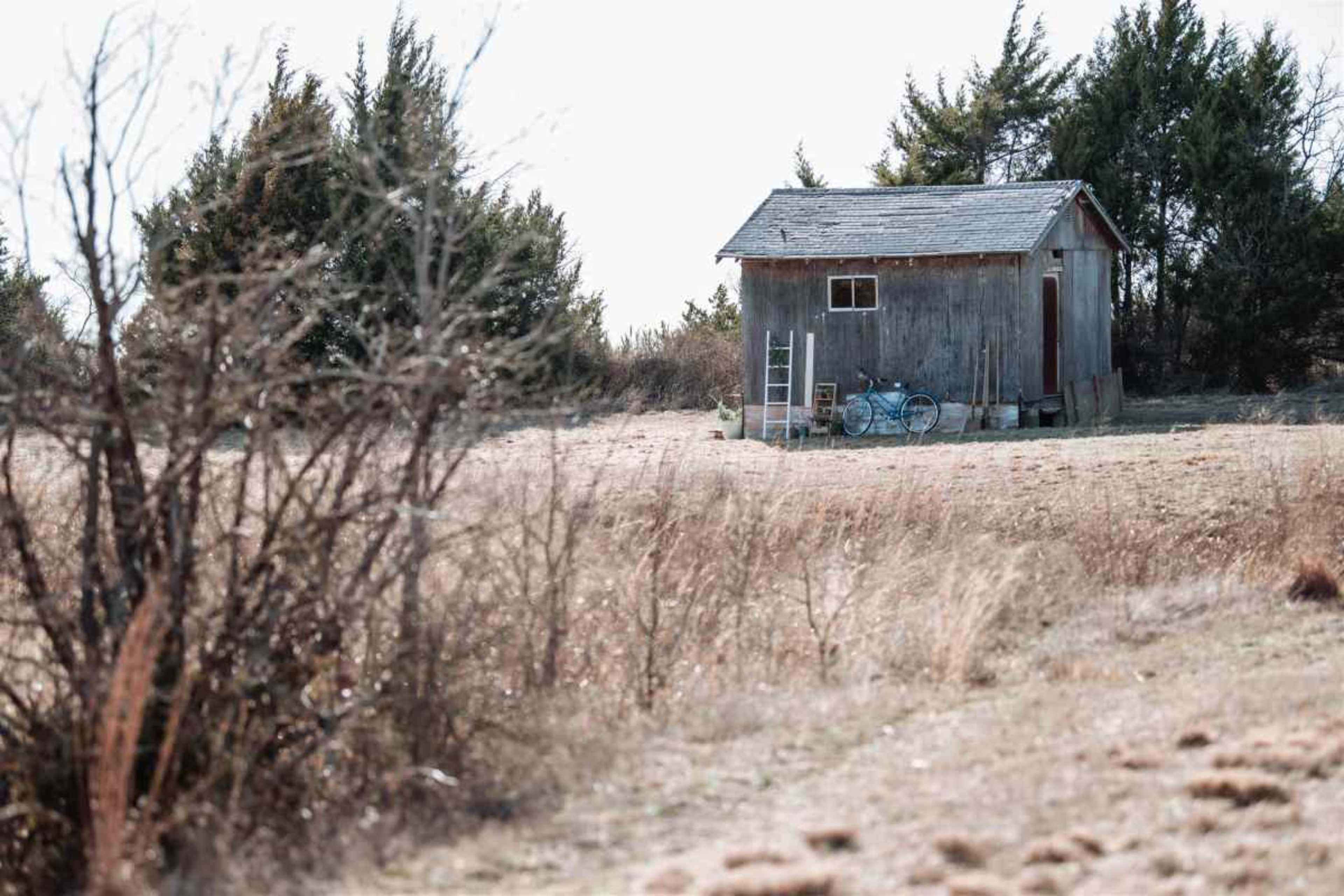 A small wooden shed with a bicycle and a ladder is situated in an open field surrounded by sparse trees.