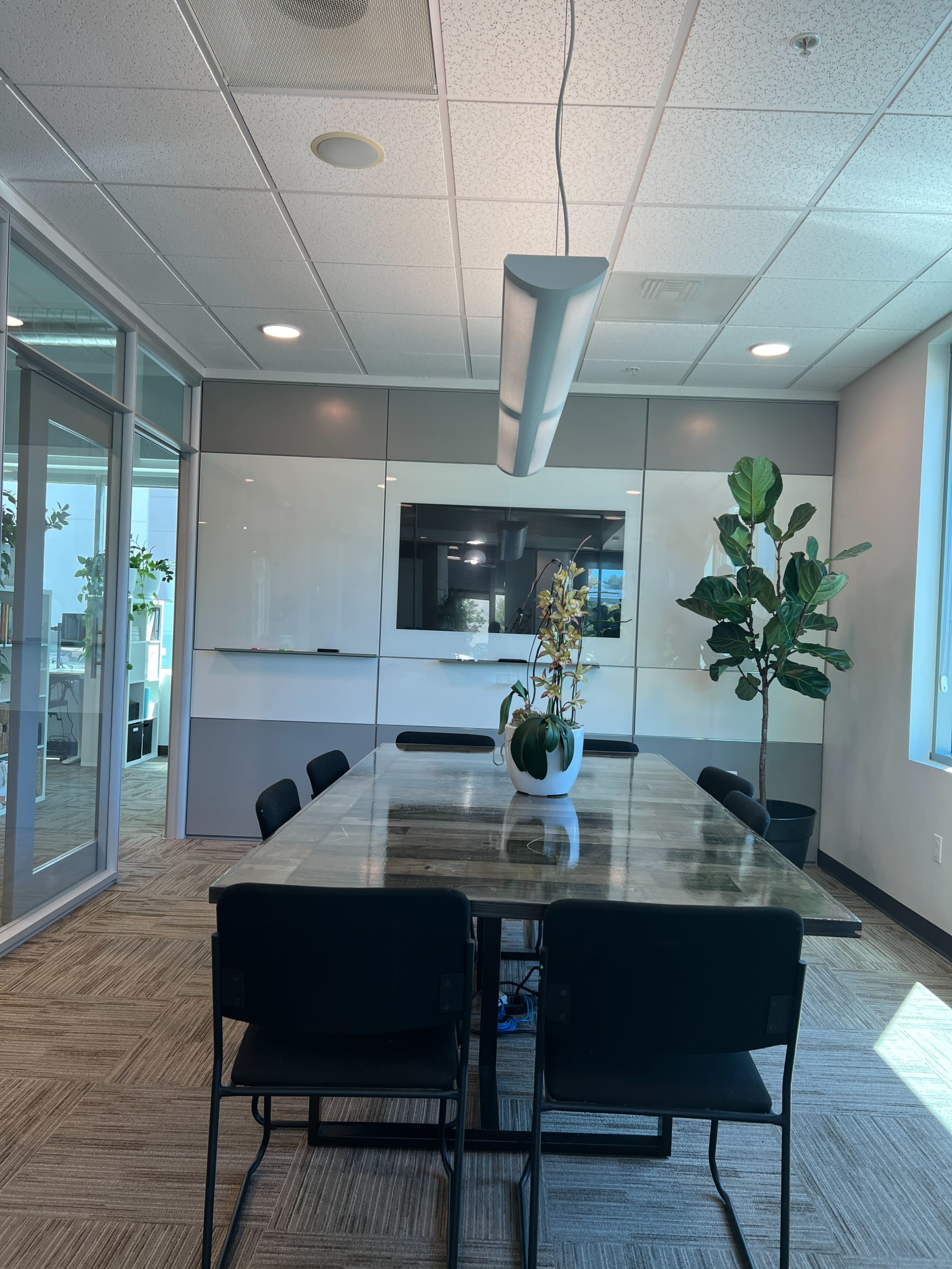 A modern conference room with a large table, black chairs, and potted plants, featuring a whiteboard and a television on the wall.