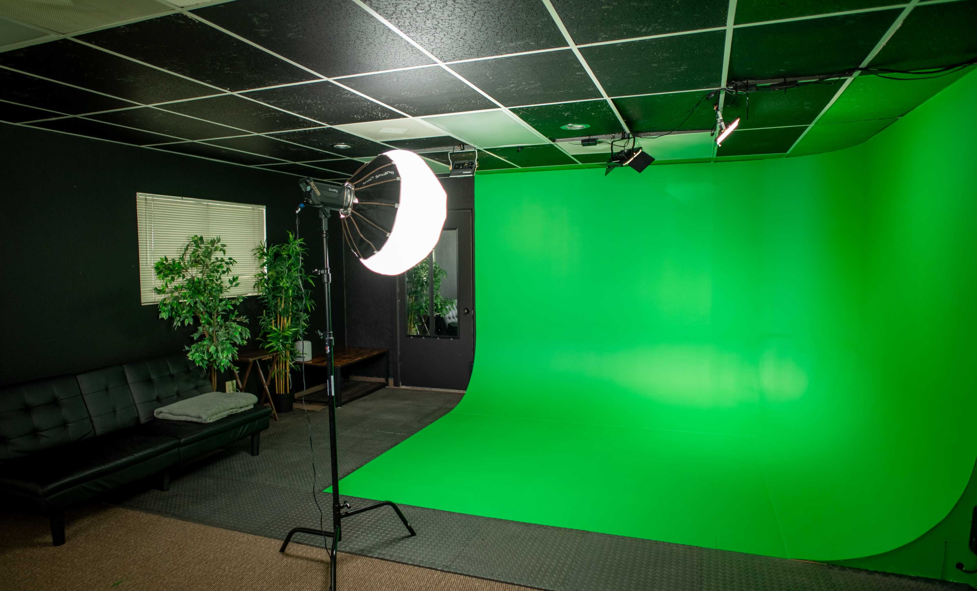 The image shows a studio setting with a green backdrop, a light on a stand, a black couch with a gray throw, and a few plants in the corners.