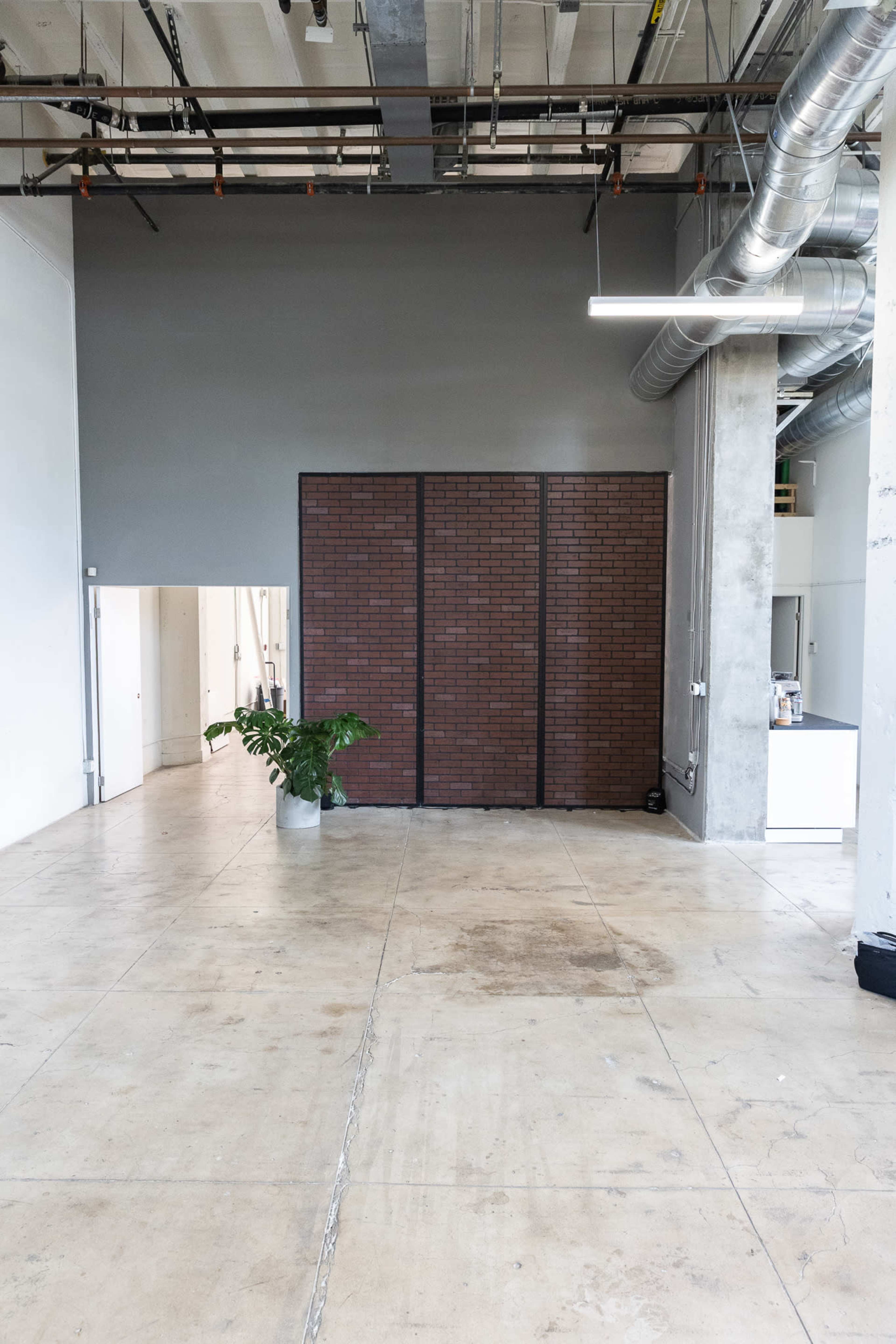 A spacious, industrial-style interior featuring a brick wall divider, polished concrete floors, and a large potted plant.