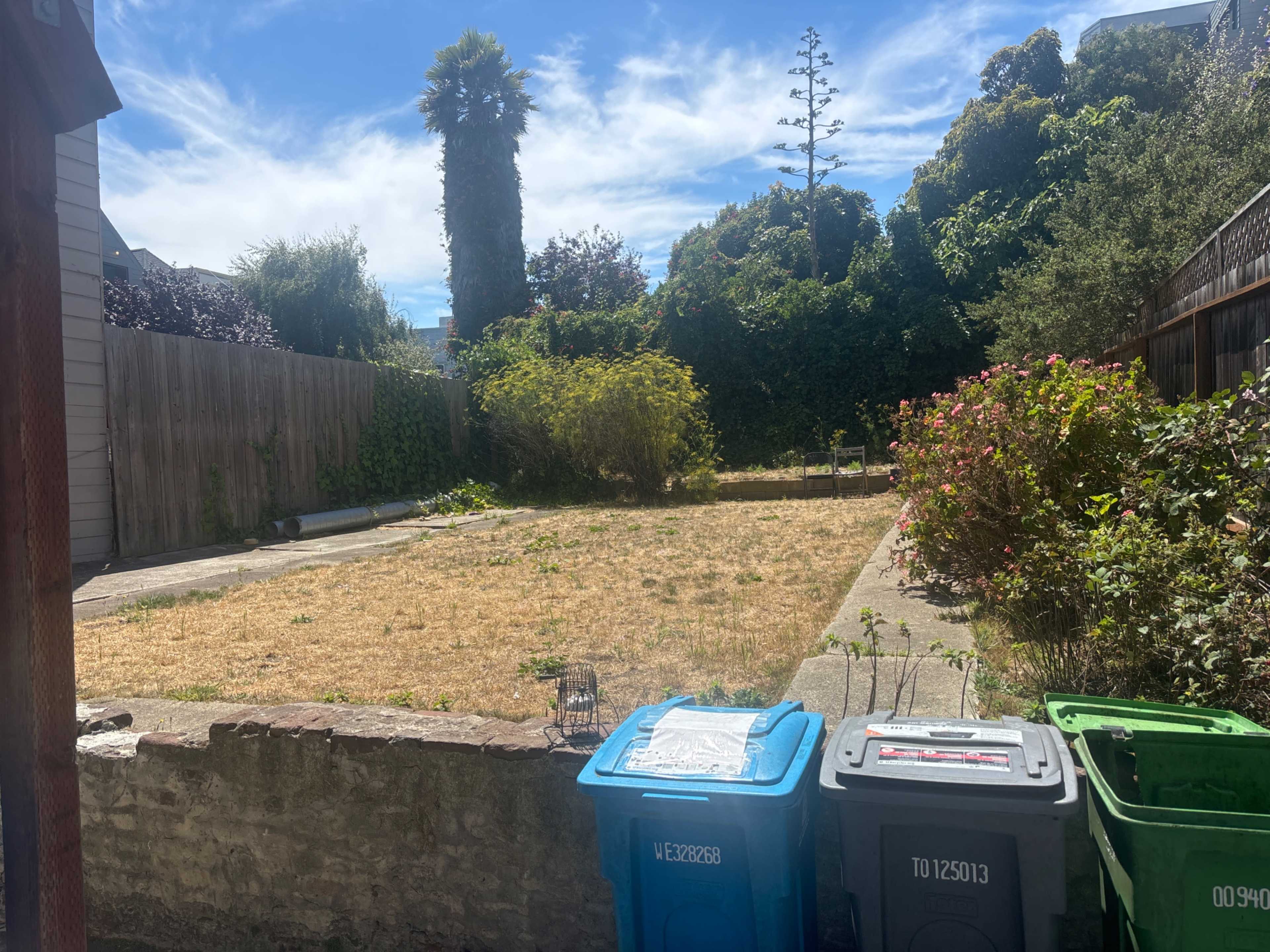 Spacious Nopa event space in San Francisco Image in Western Addition, san francisco, CA