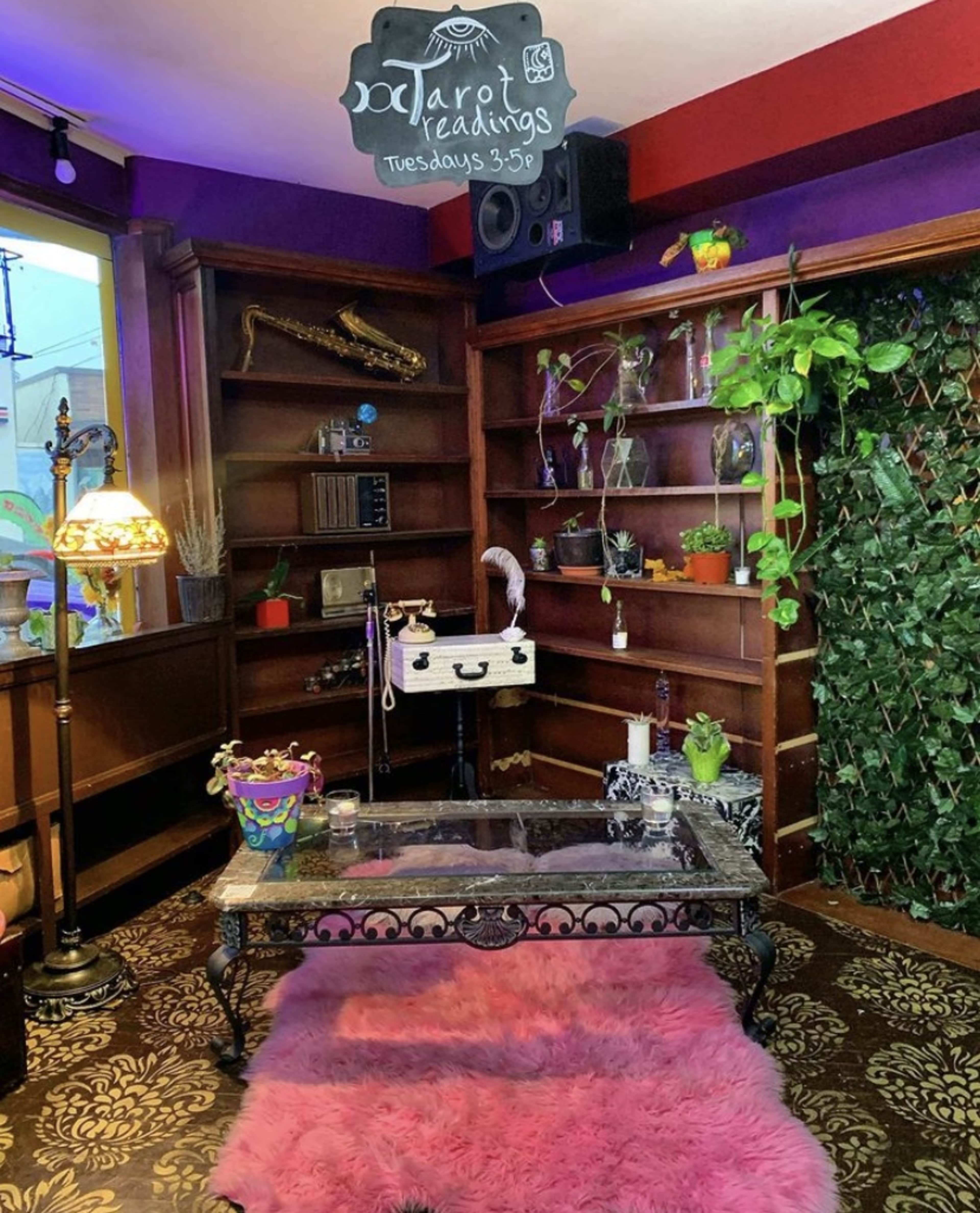 A cozy room features a pink shag rug, a glass coffee table, shelves with plants and decorative items, and a sign indicating tarot readings on Tuesdays.